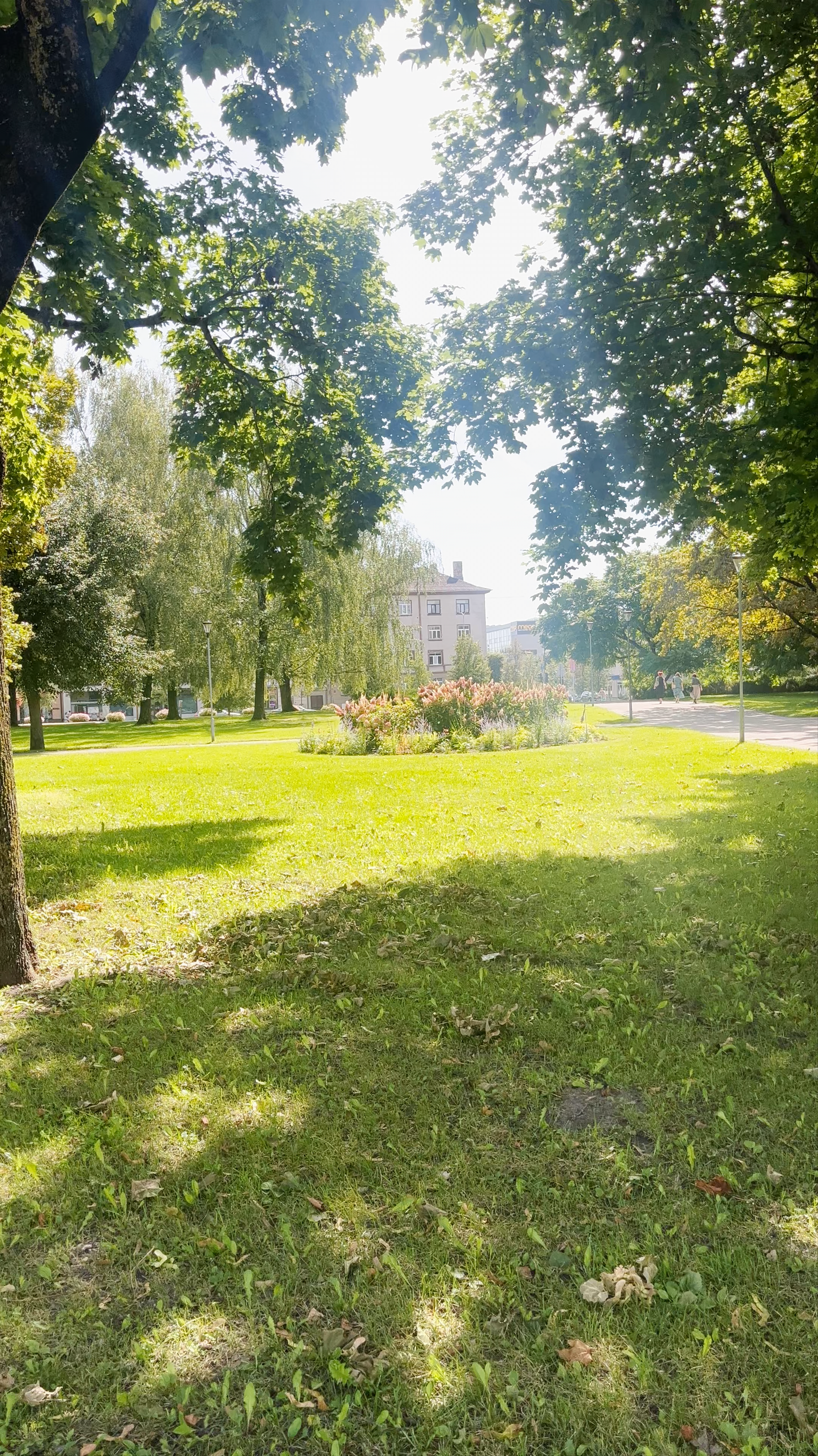 Summer Serenity at Hercoga Jēkaba laukums, Jelgava