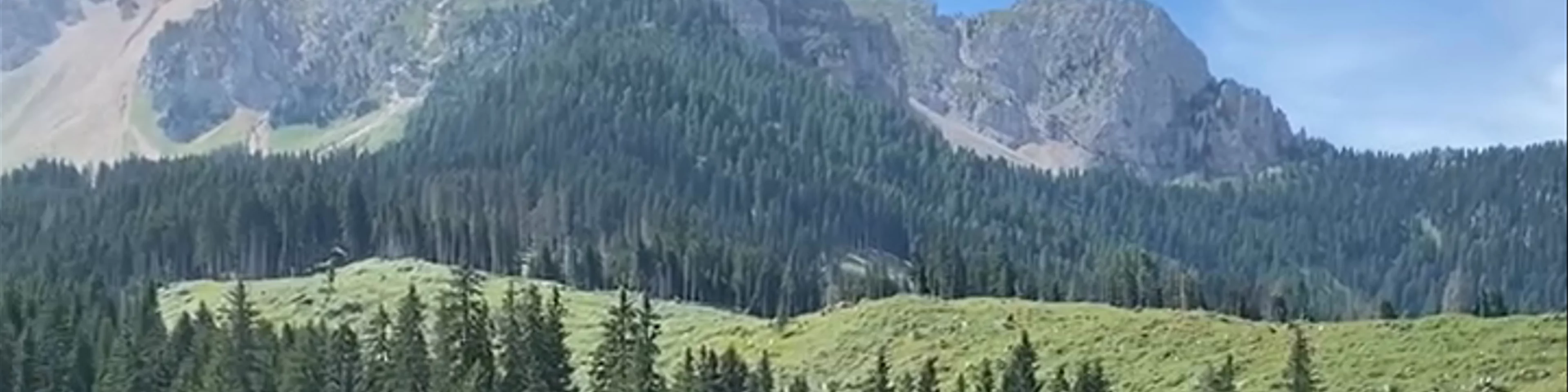 Lago di Carezza