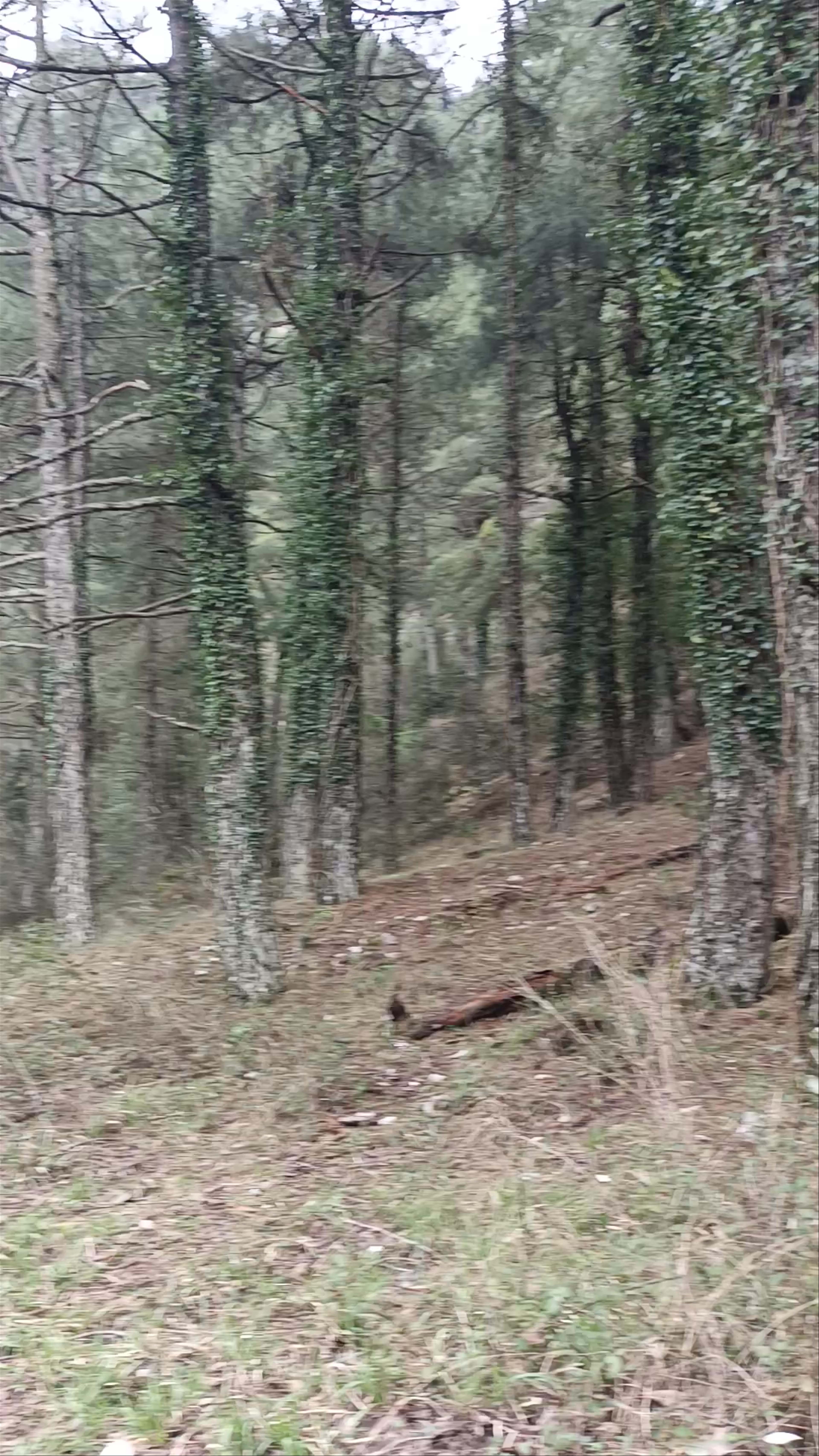 Nacimiento del Río Mundo