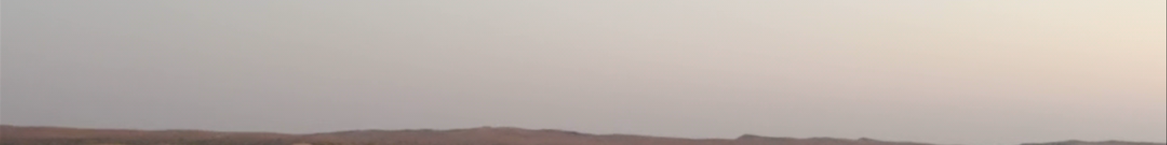 Tours & experiences in United Arab Emirates
