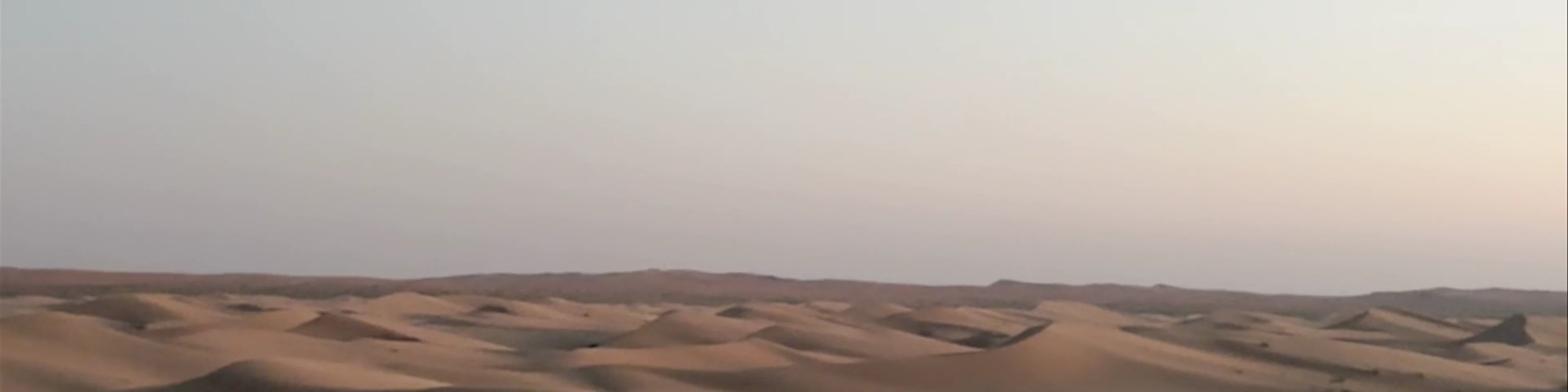 Dubai Desert Conservation Reserve - Sharjah - United Arab Emirates