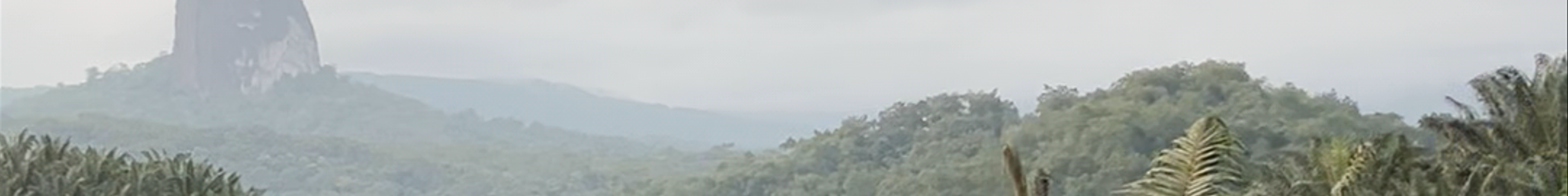 Tours & experiences in São Tomé