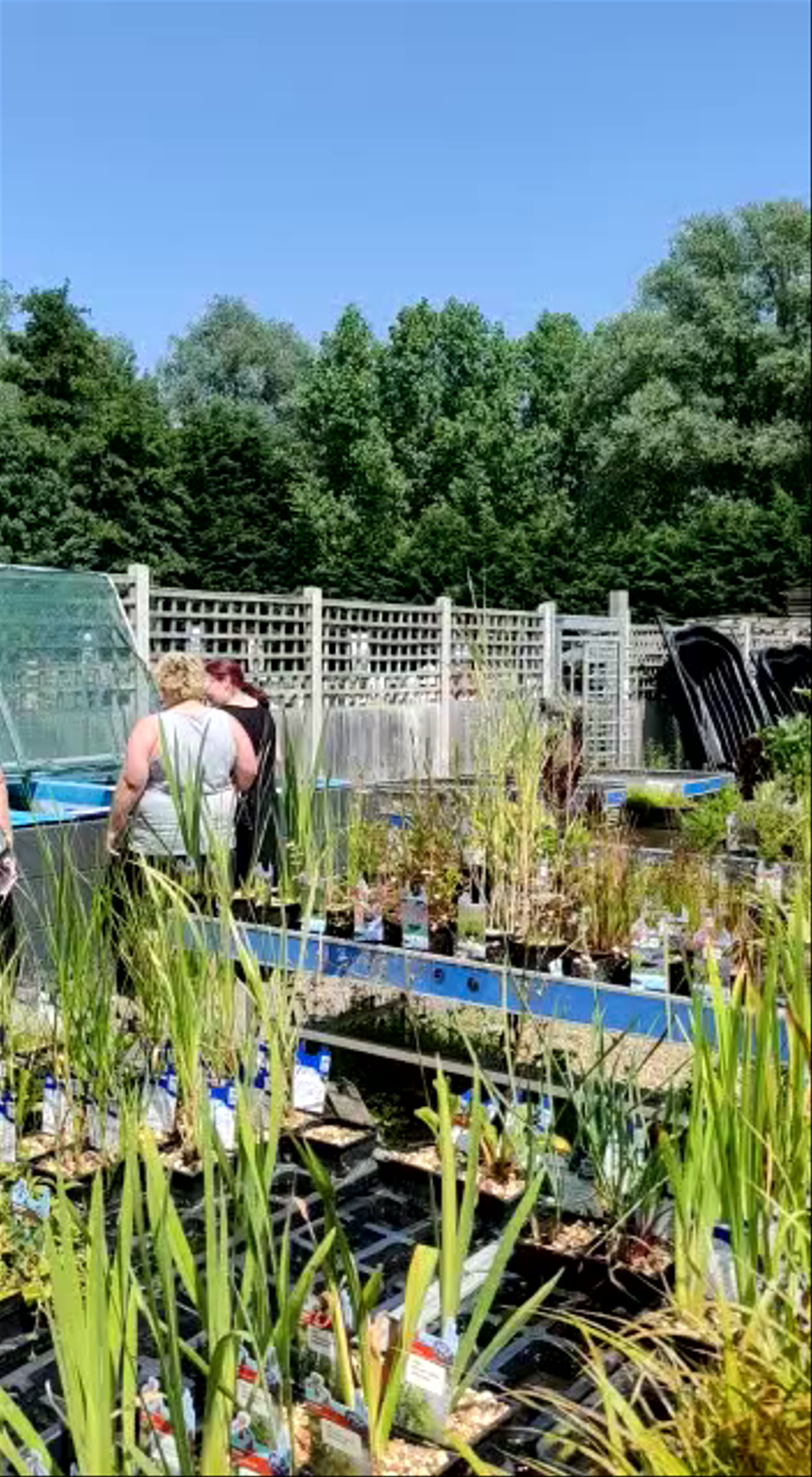 Mill Race Garden Centre