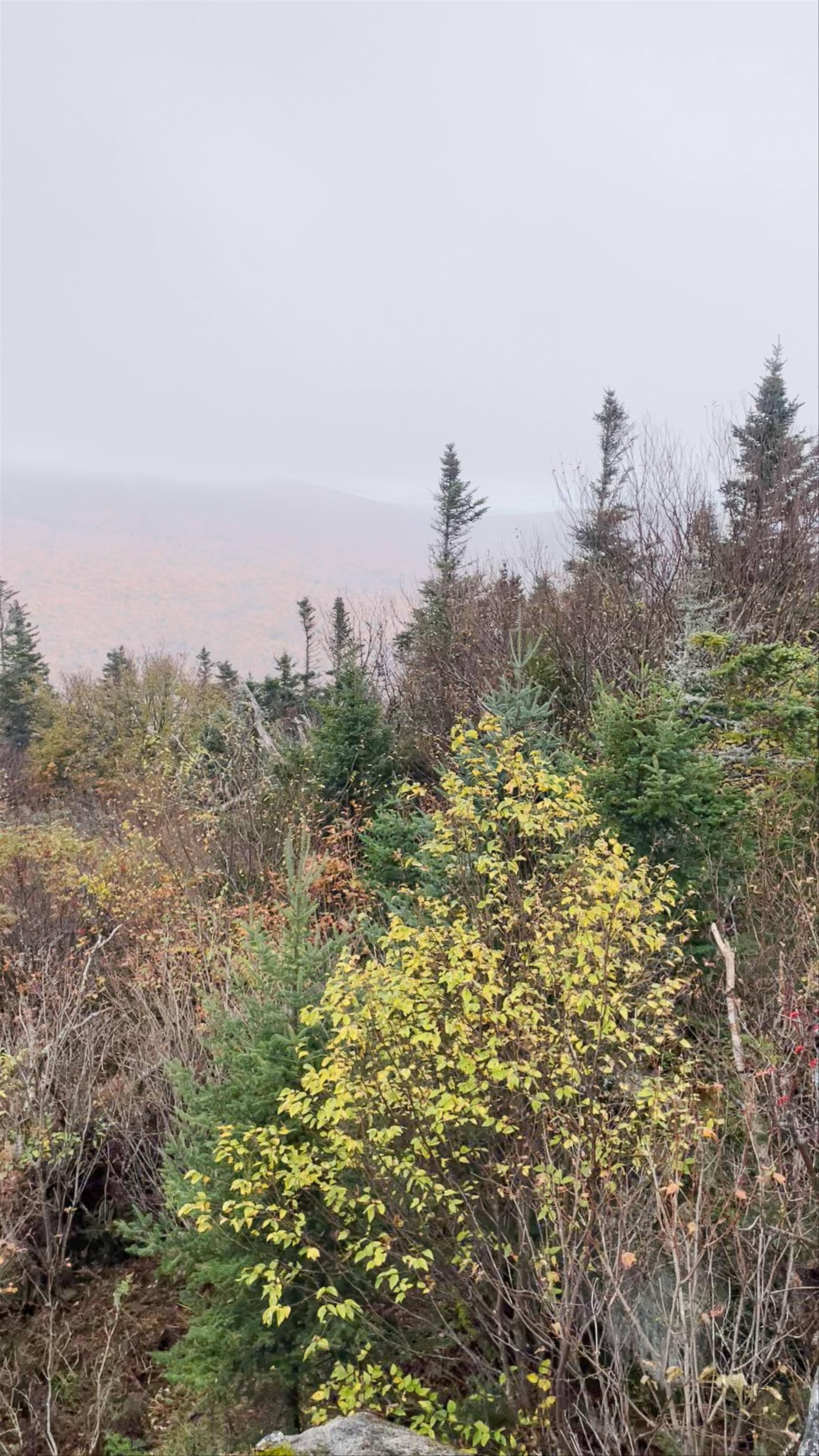 Pic de l'Aurore - Sentier des Cimes - Parc National du Mont-Mégantic
