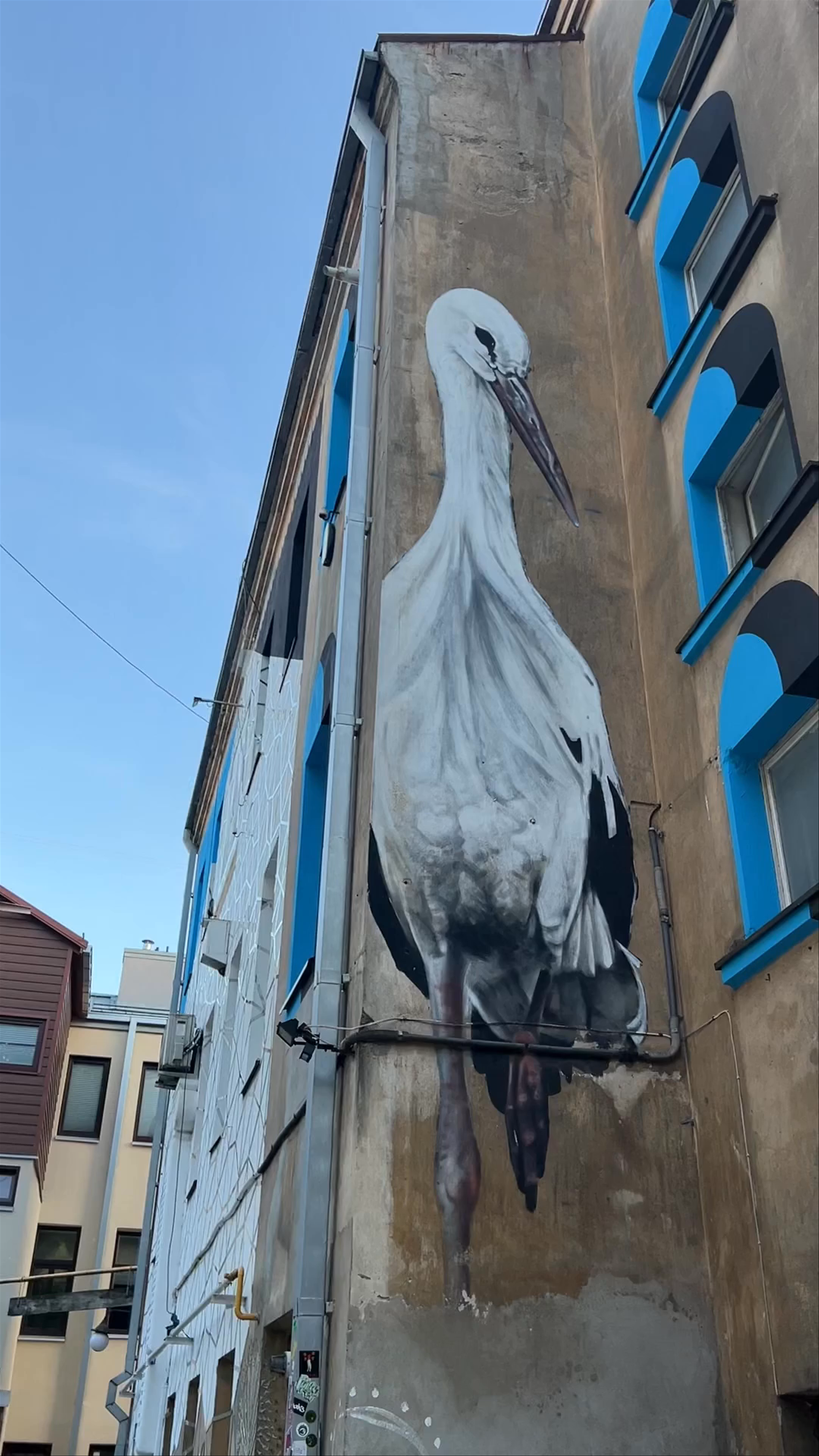 Majestic Stork Mural at Kiemo Galerija, Kaunas