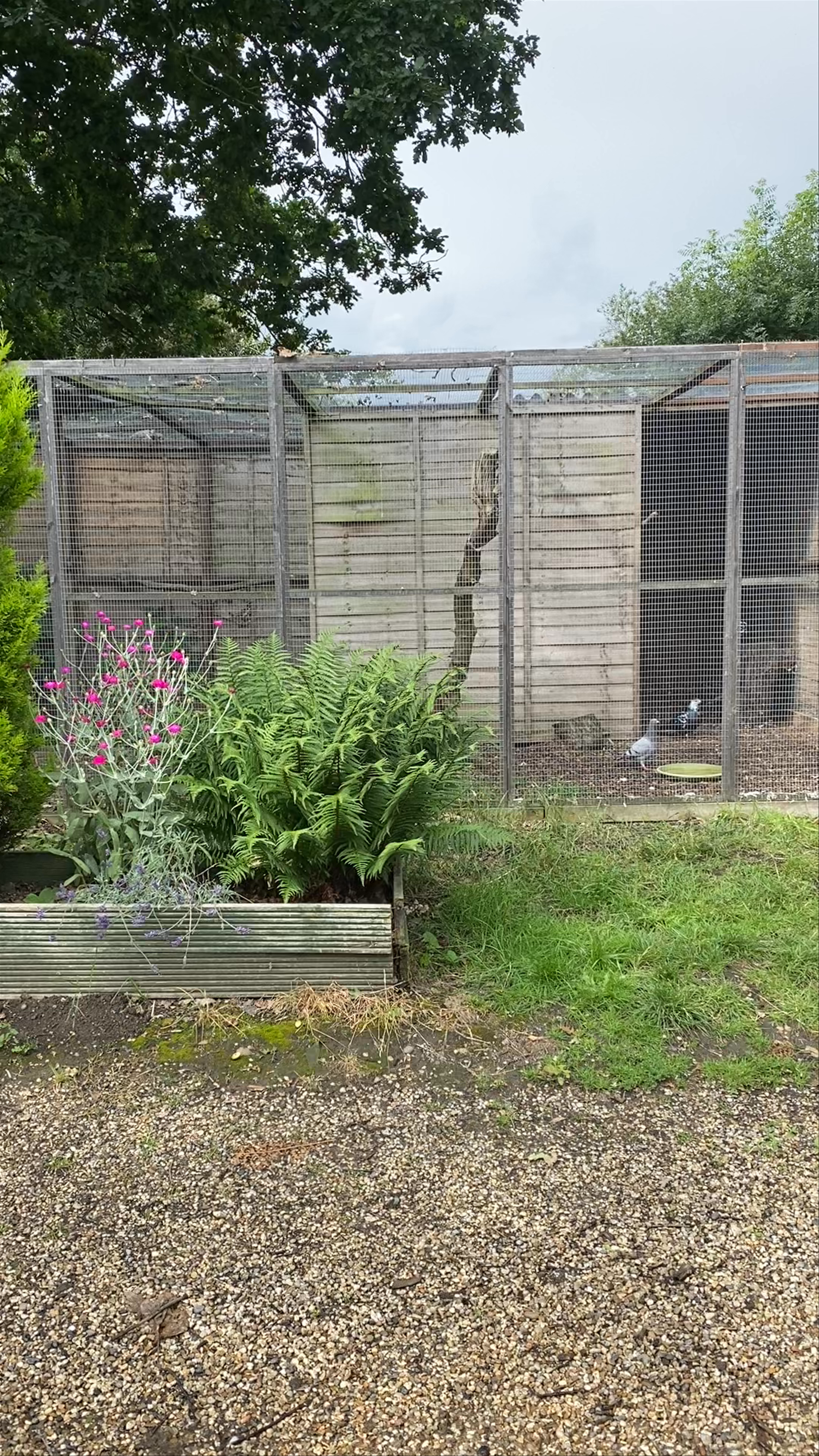 Hopefield Animal Sanctuary