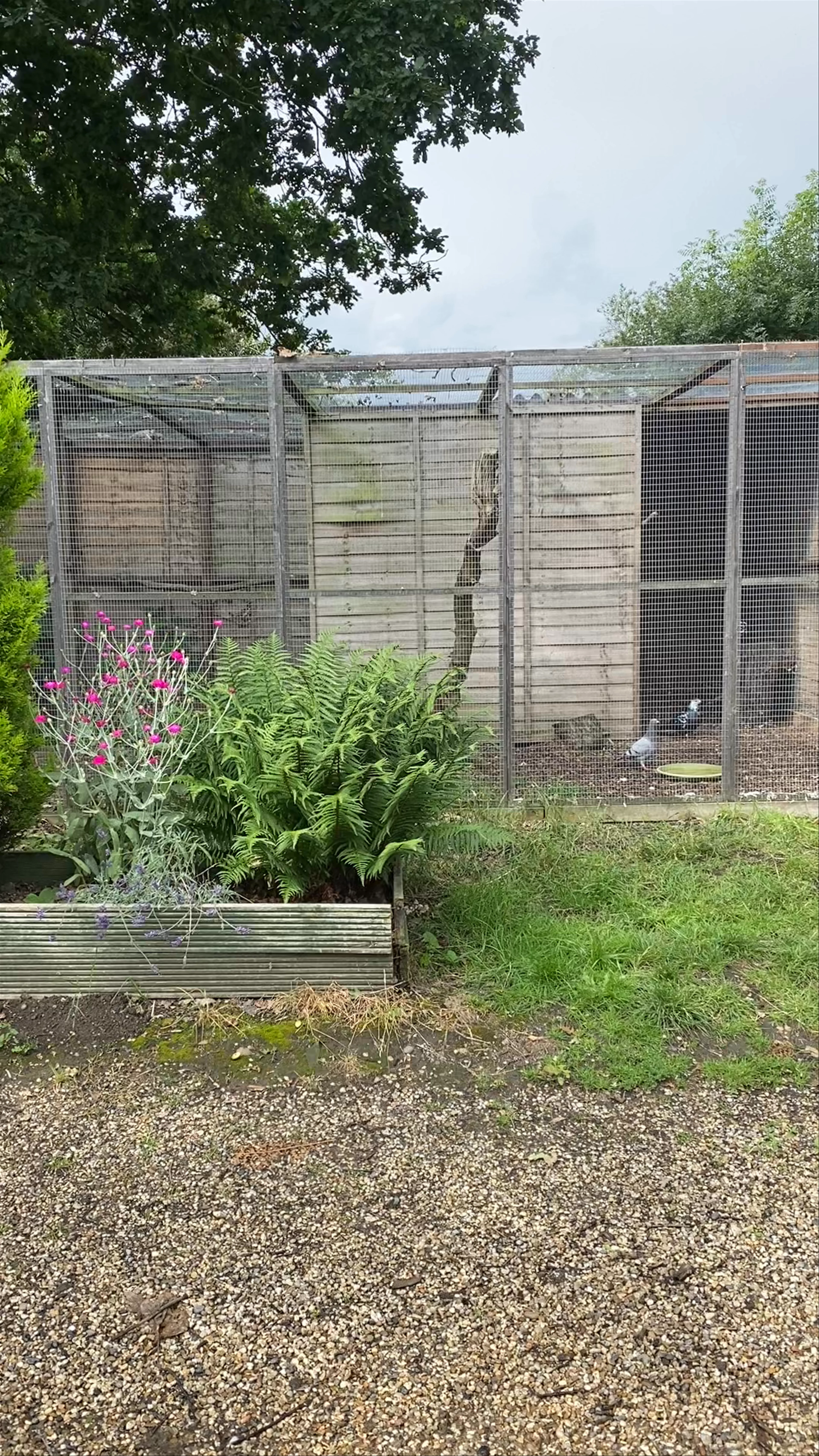 Hopefield Animal Sanctuary