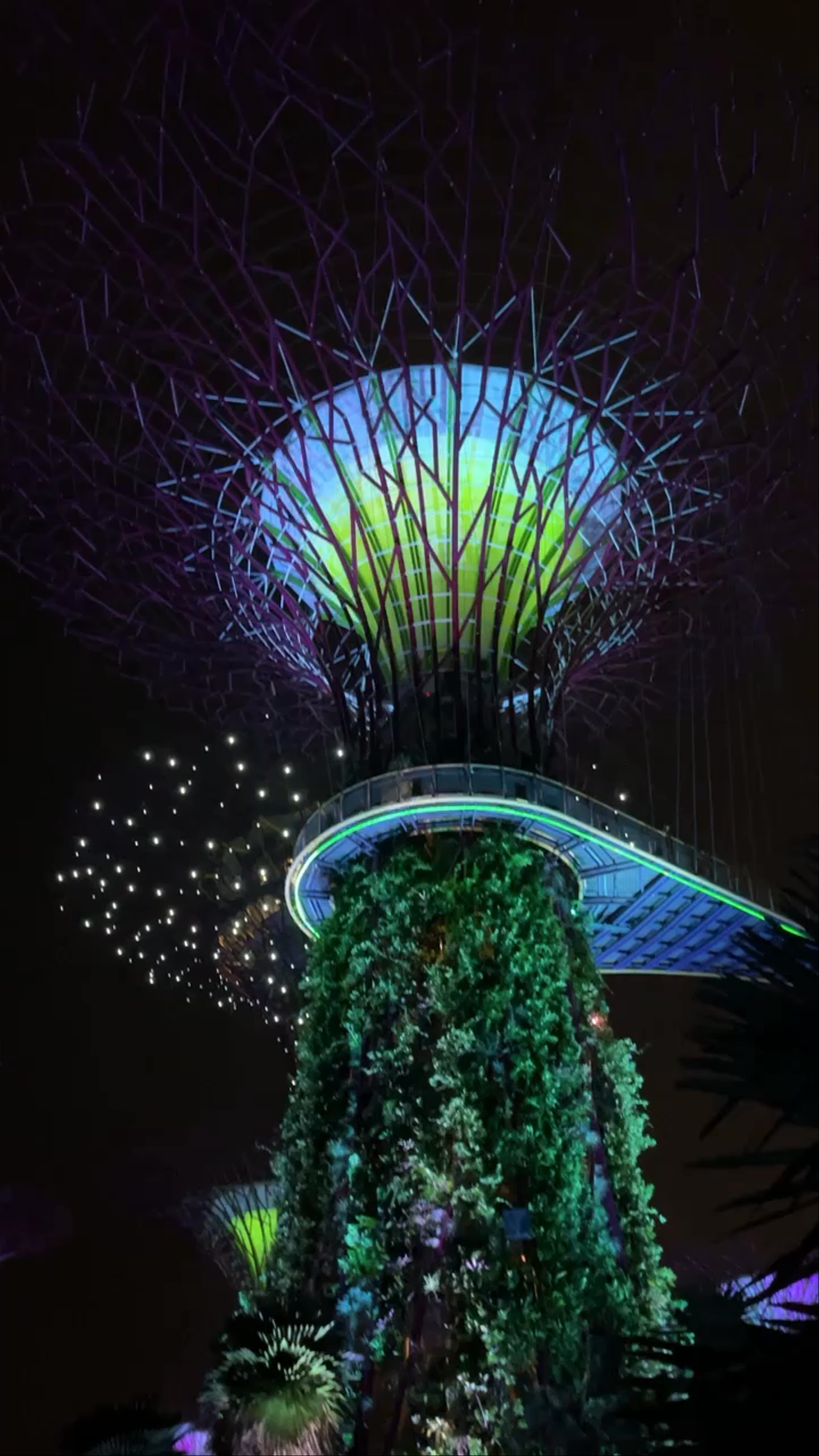 Marina Gardens Drive