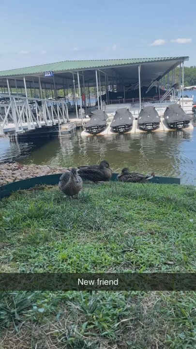LakeSide Cafe - Extra friendly staff - Cafes Near Me - Lake Ozark, Missouri