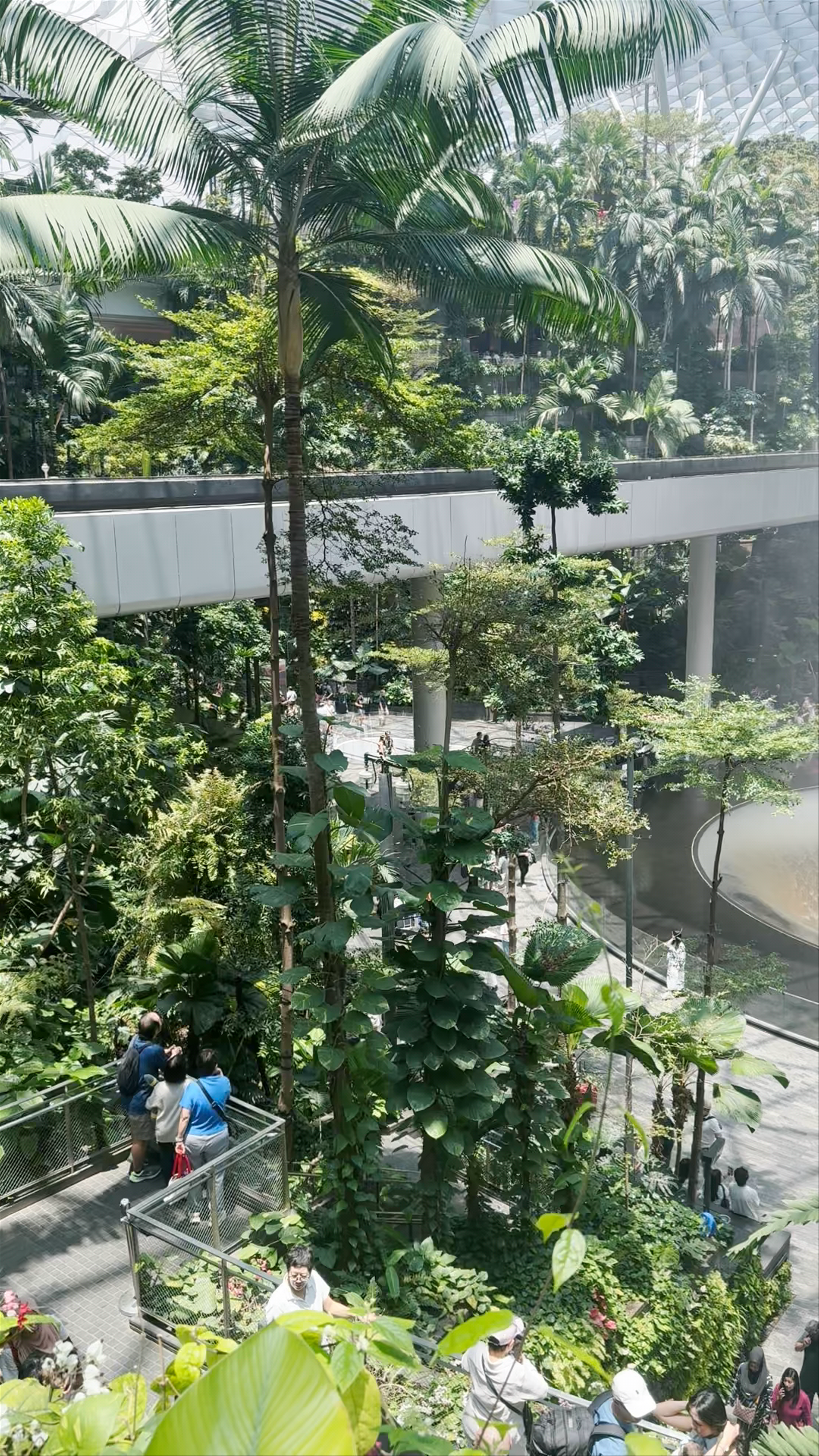 Jewel Changi Airport