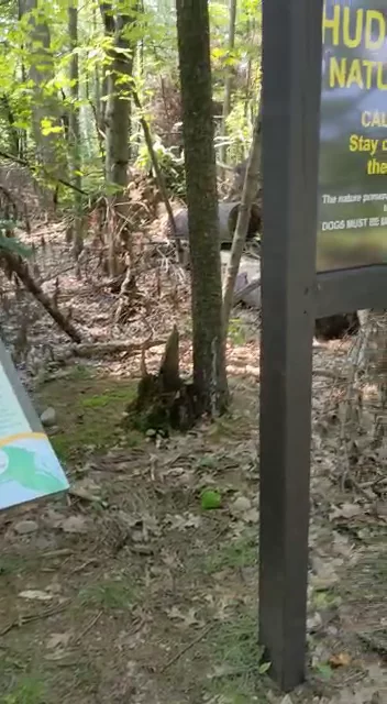 Hudson Pointe Nature Preserve