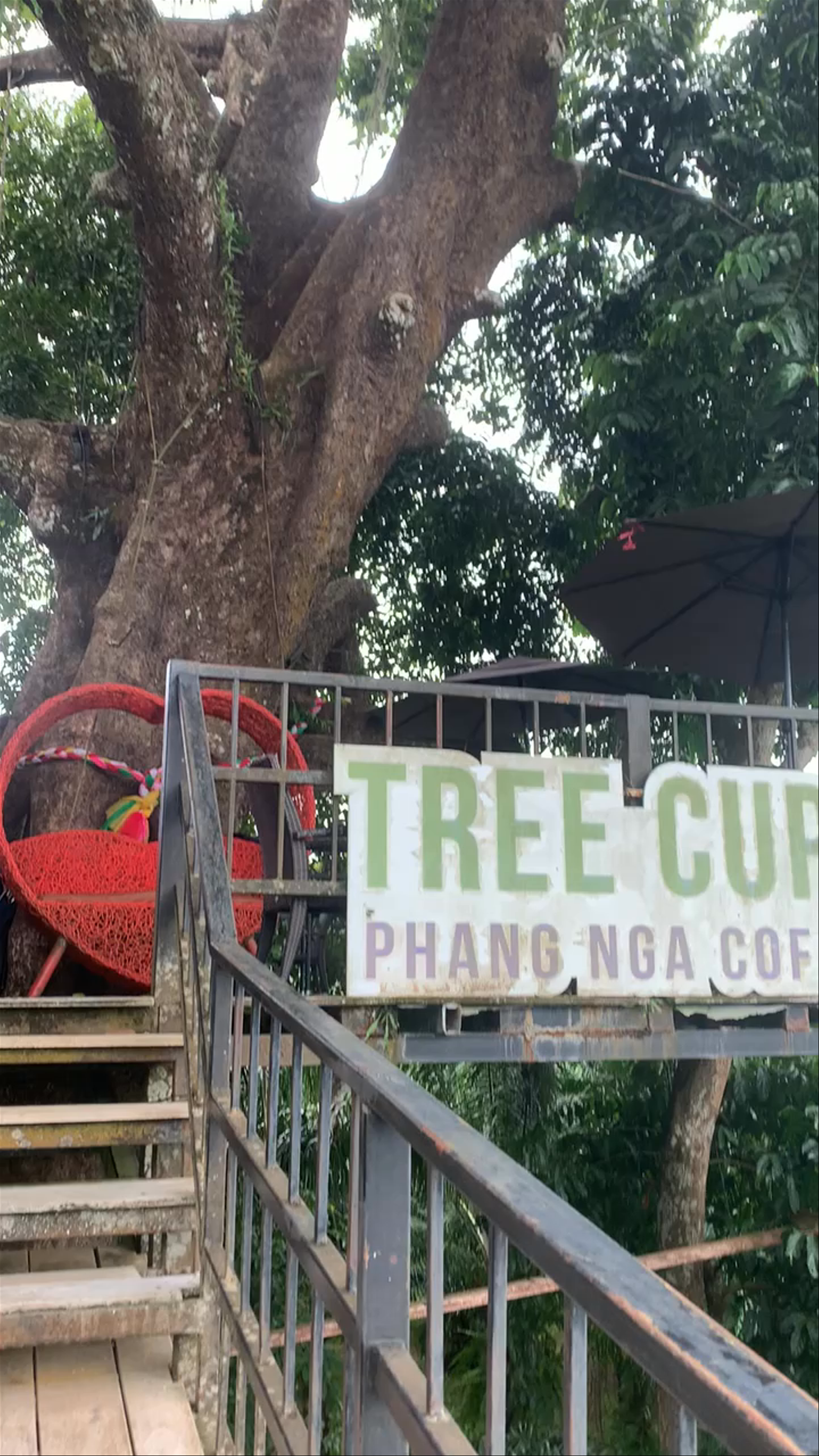 Tree Cups Phang Nga Coffee