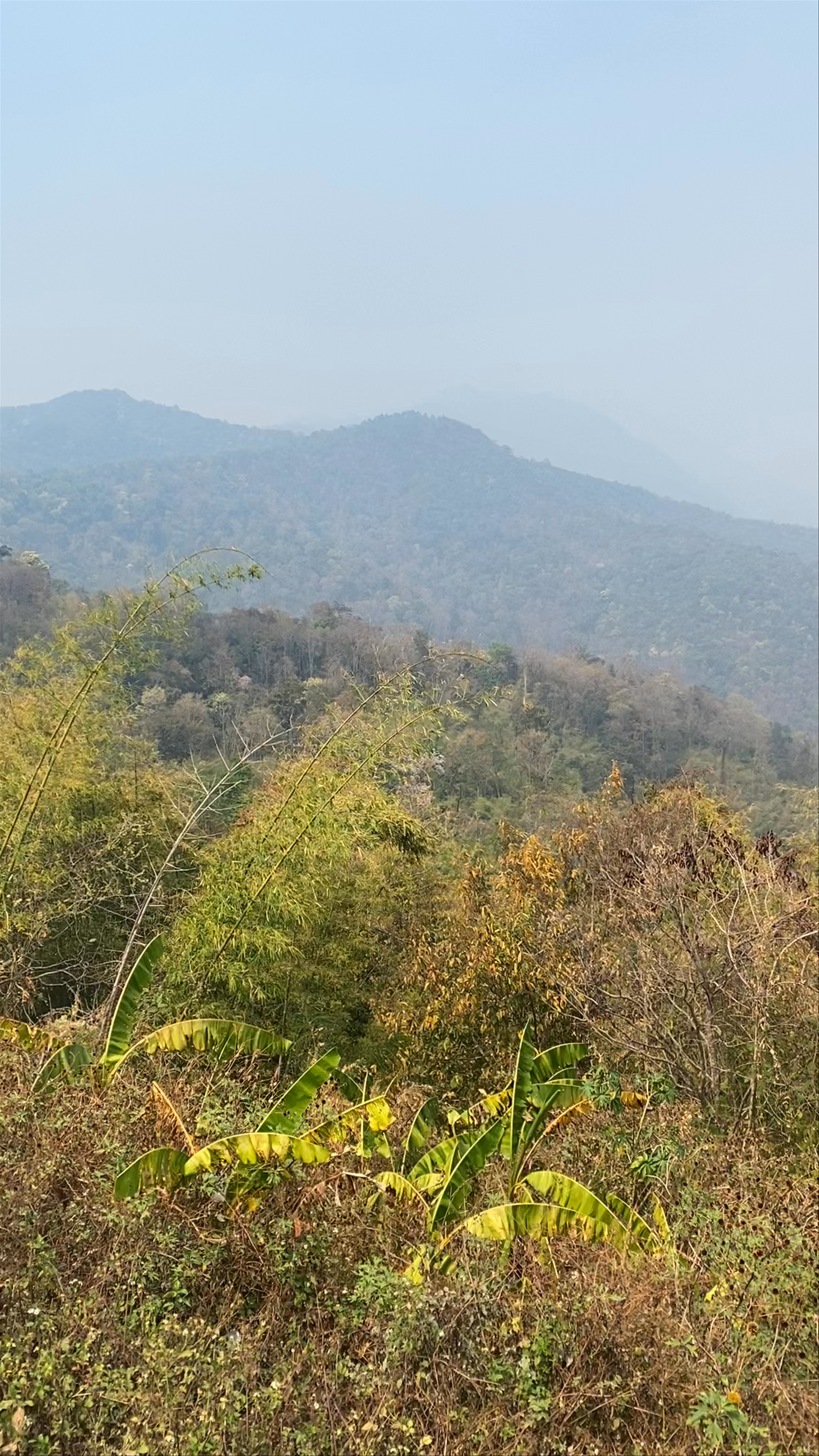 Kwan Phayao (Dinosaur) Viewpoint Rajamangalaphisek Rest Area