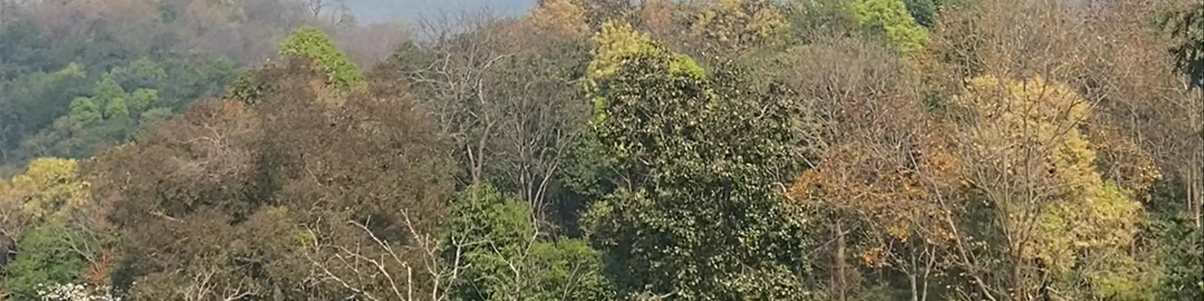 Kwan Phayao (Dinosaur) Viewpoint Rajamangalaphisek Rest Area