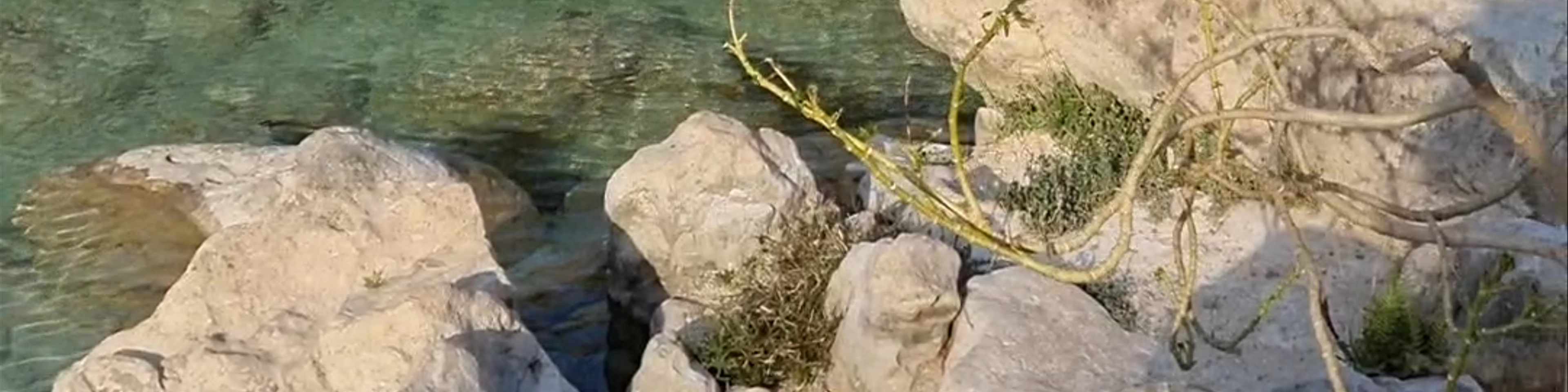 Dhofar