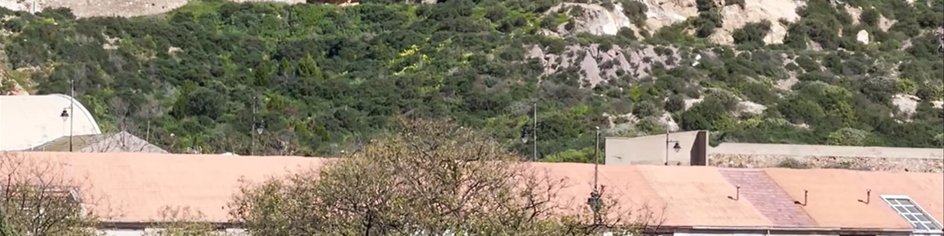 Castillo del Cerro de los Moros