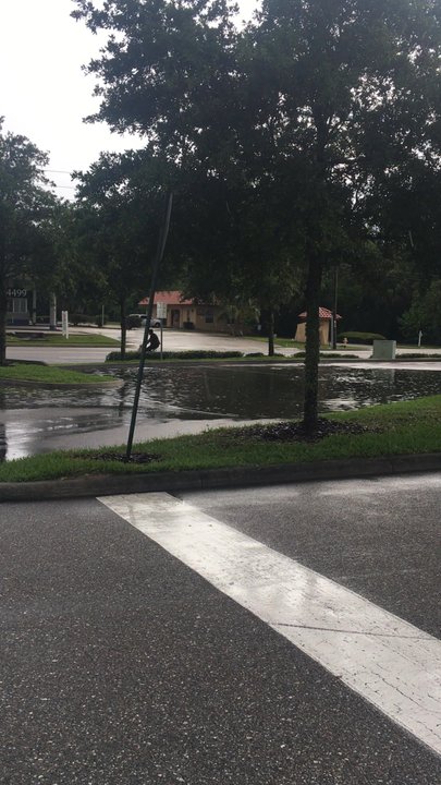 Publix  - So much rain, the front of the parking lot is under water! - Grocery Near Me - Jacksonville, Florida
