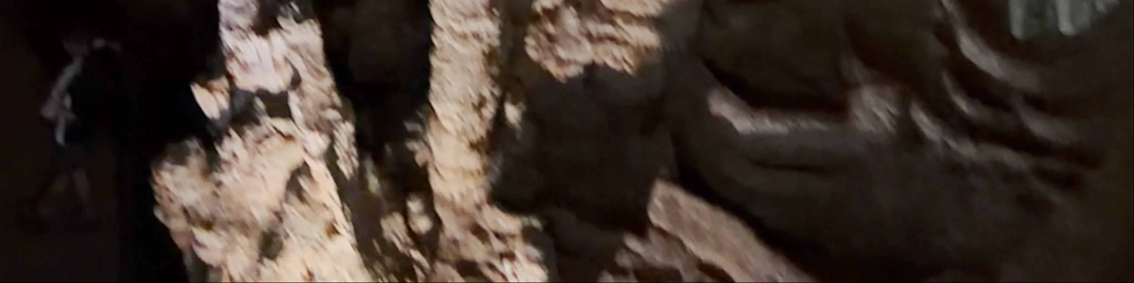 Cueva de Nerja