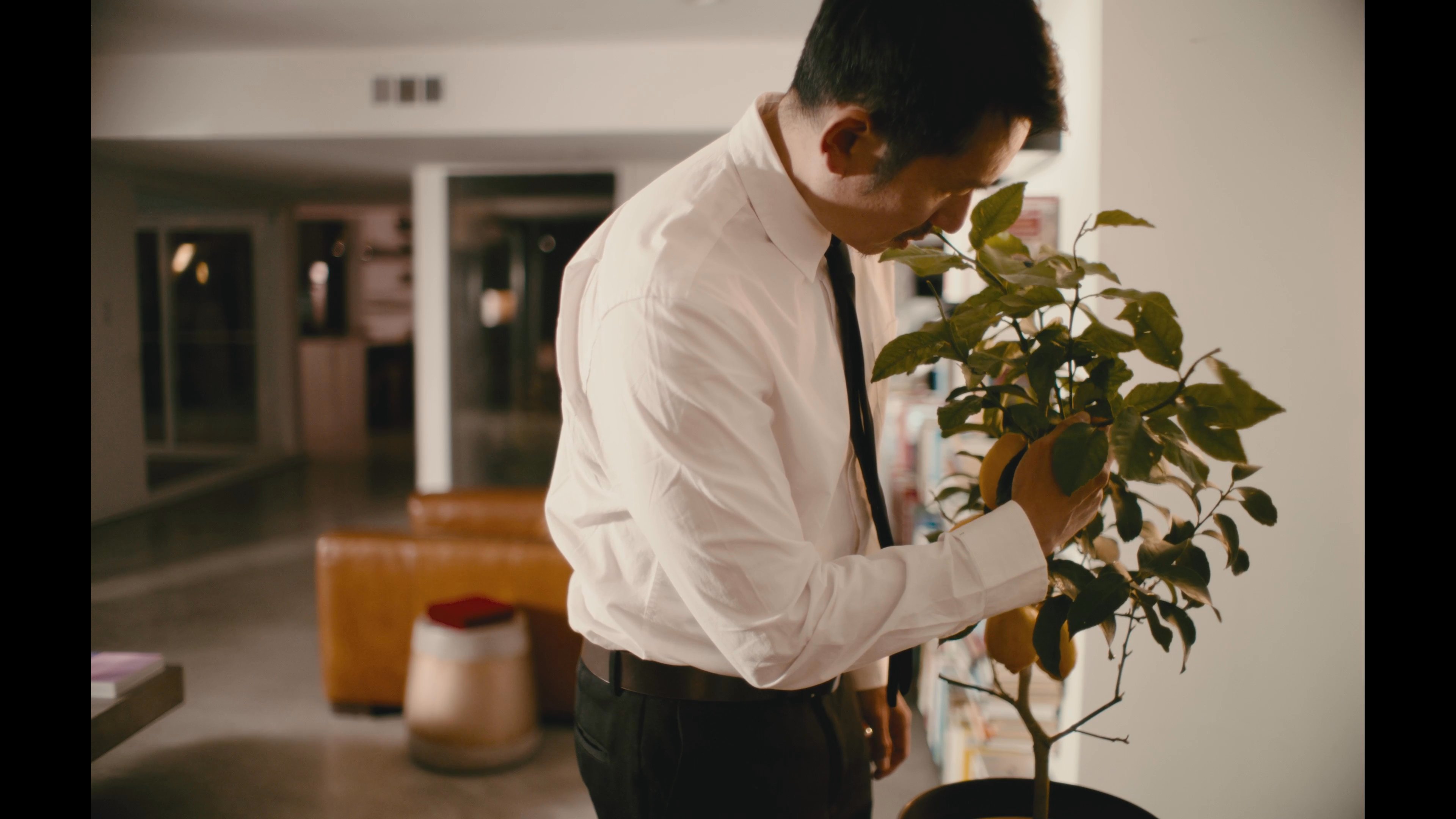A man in a dress shirt tends to a houseplant in his living room before being joined by a guest carrying bottles of beer for a casual social encounter.