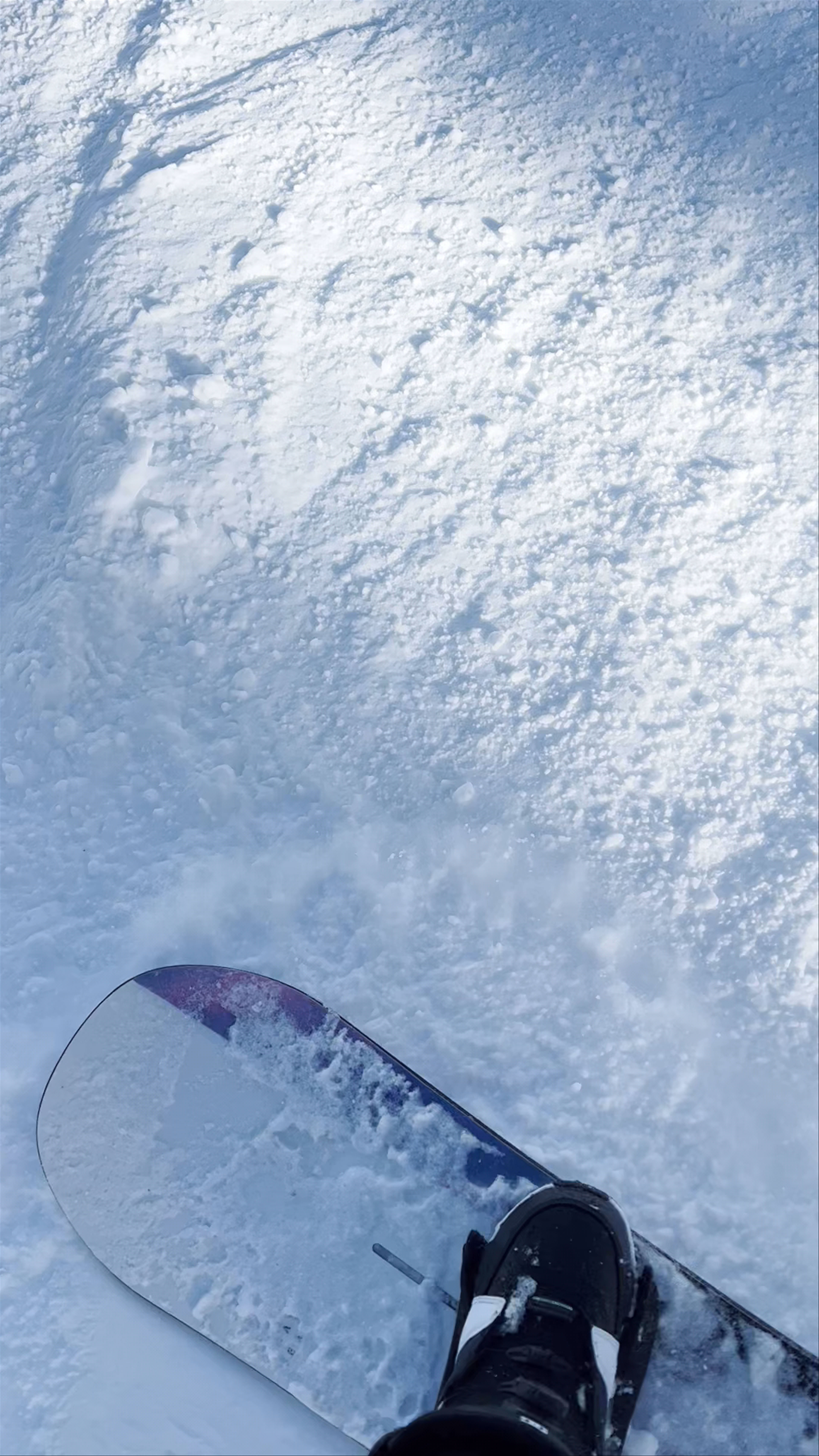 Snowboarding Thrills at Heavenly Ski Resort, South Lake Tahoe