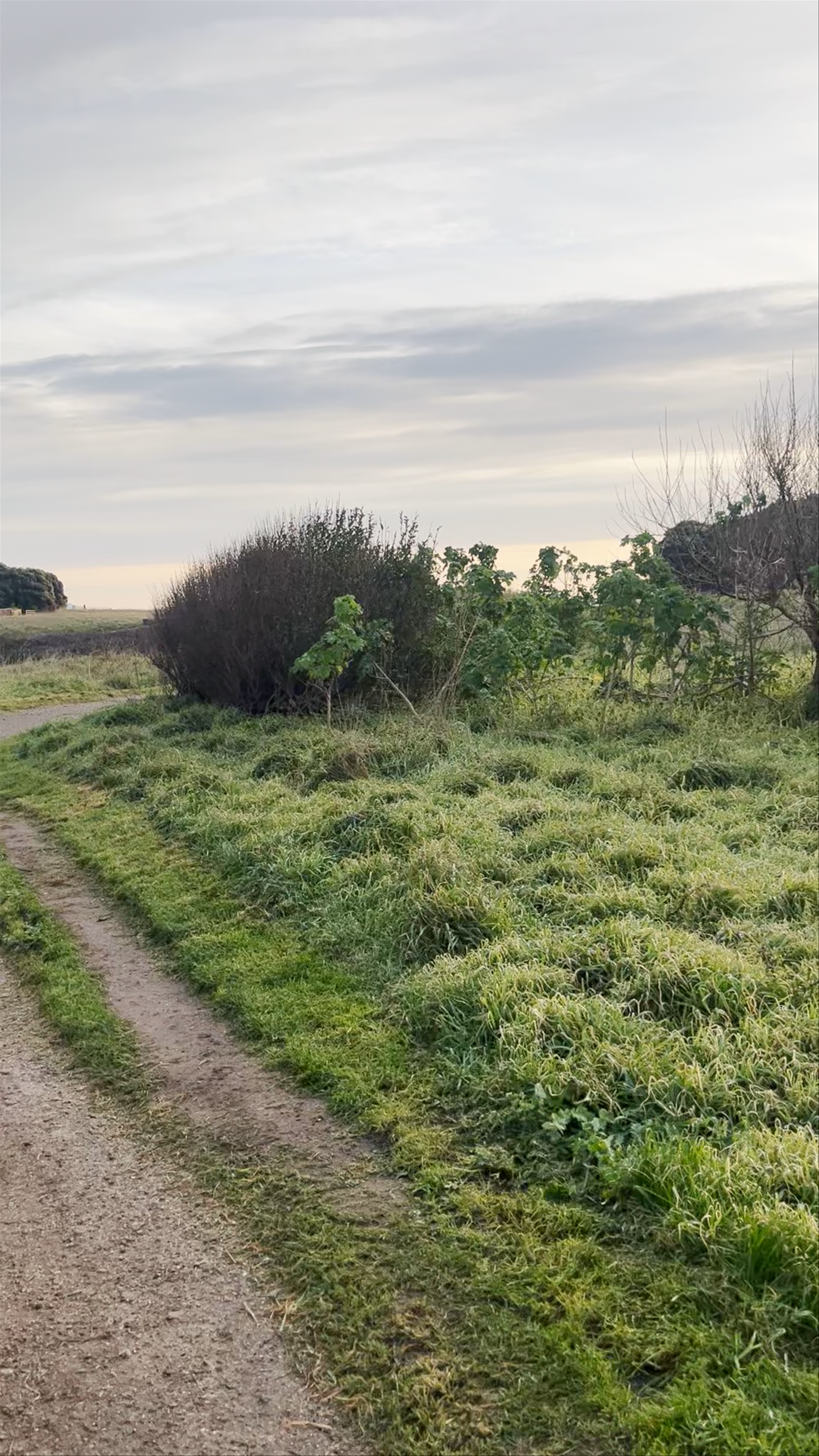 Coastal Walking Trail near A Coruña, Spain: Embrace Wild Atlantic Vibes
