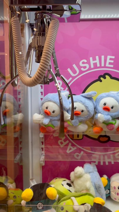 Rumi Life - Toy Stores Near Me - Brooklyn, New York