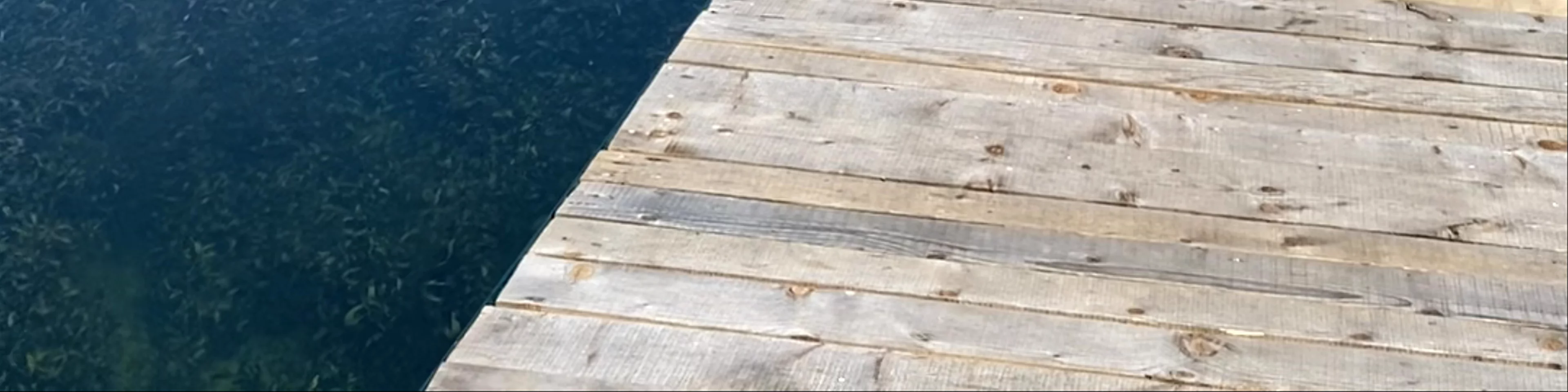 Plavsko Jezero