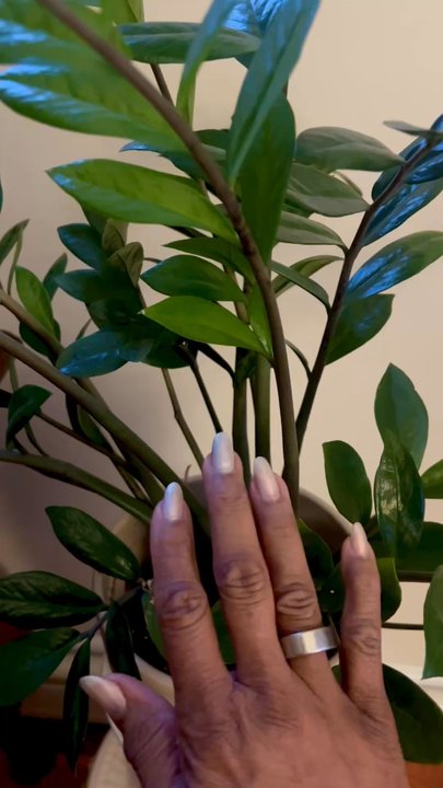 NAE Nails - Iridescent chrome color - Nail Salons Near Me - Harrisburg, Pennsylvania