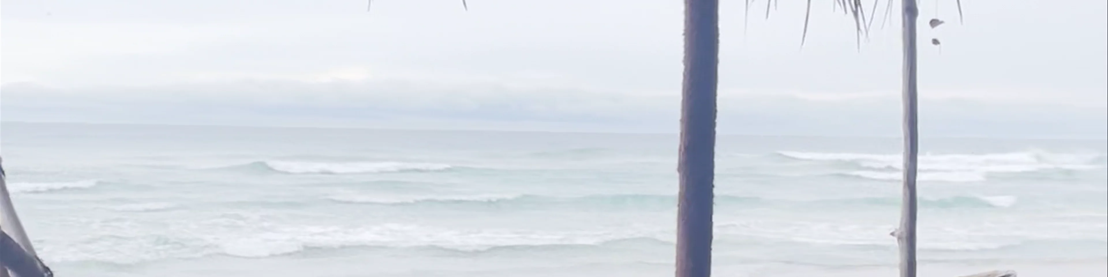 MARSHMELLOW SURF CAFE' | Ahangama
