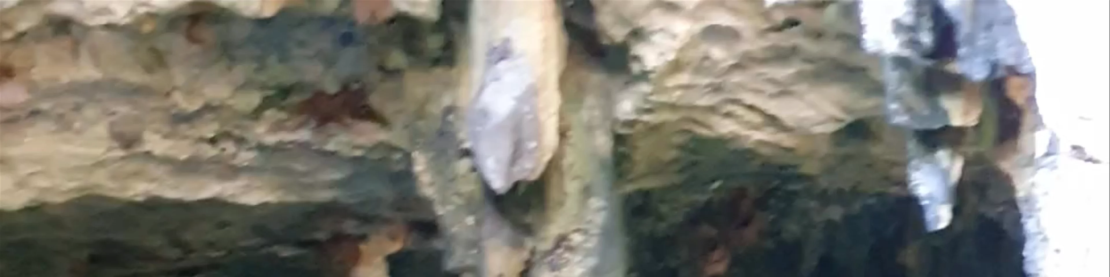 Cenote Kankirixche