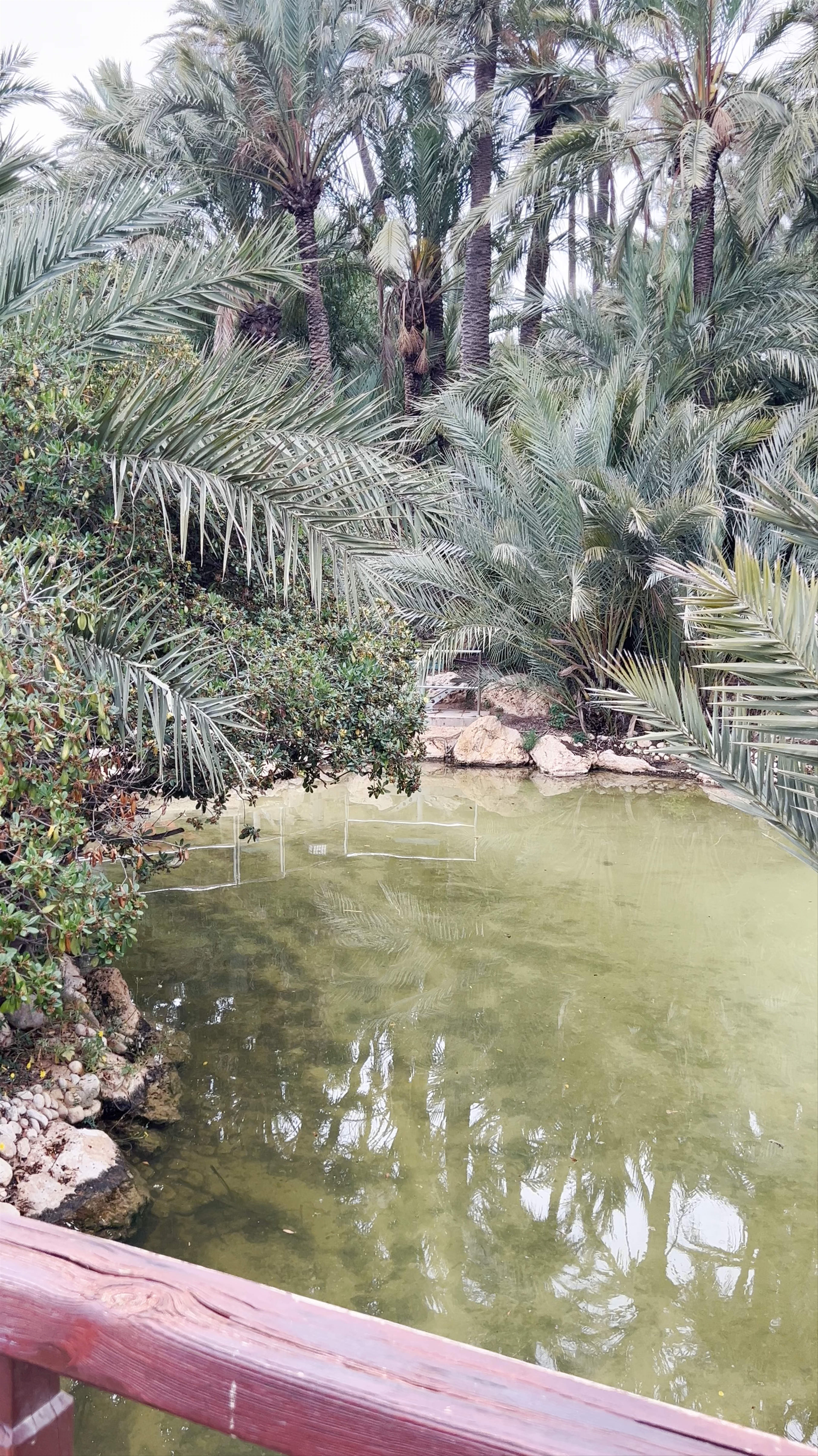 Parc El Palmeral