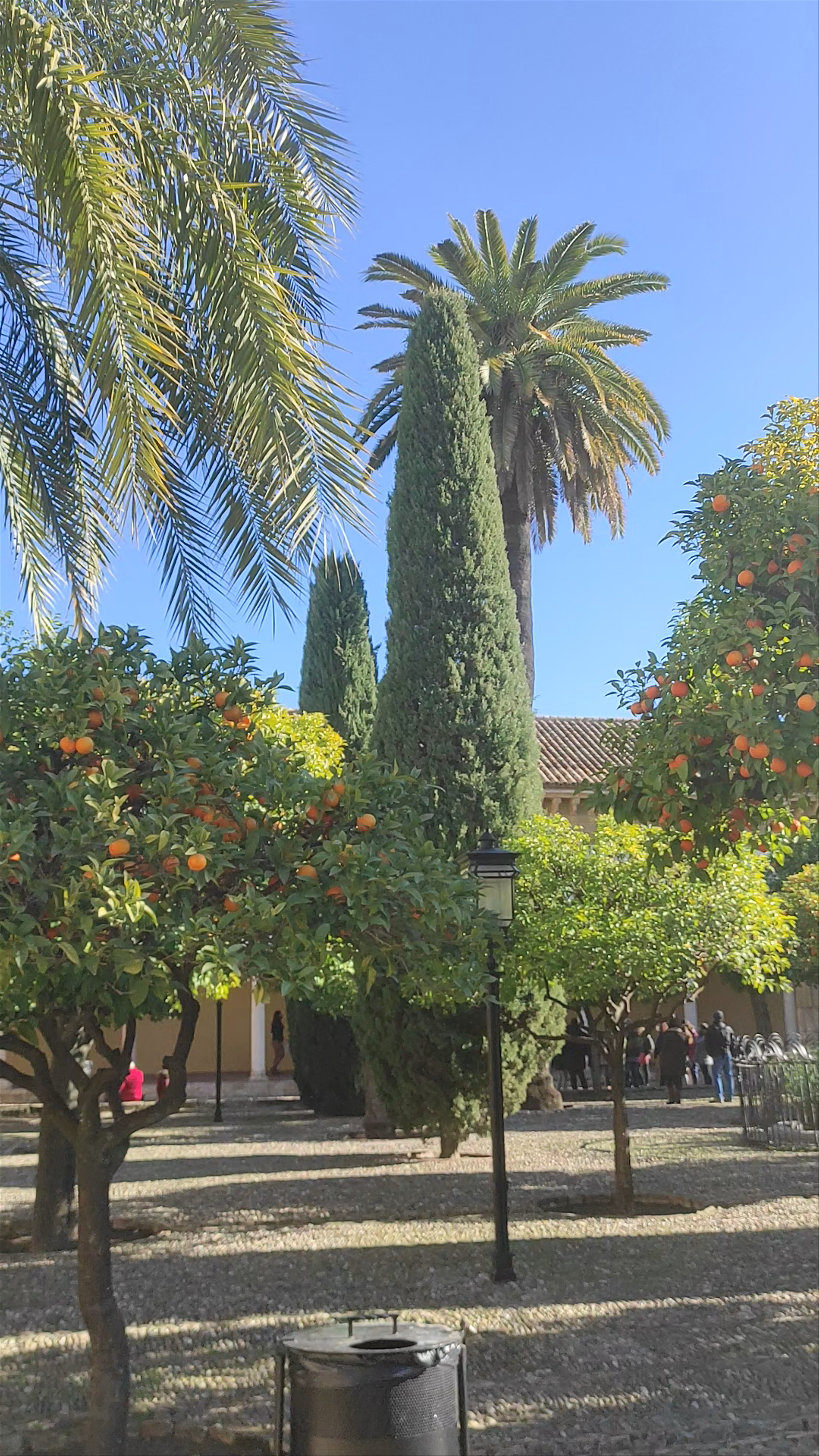 Patio de los Naranjos: Sunlit Serenity in Córdoba, Spain