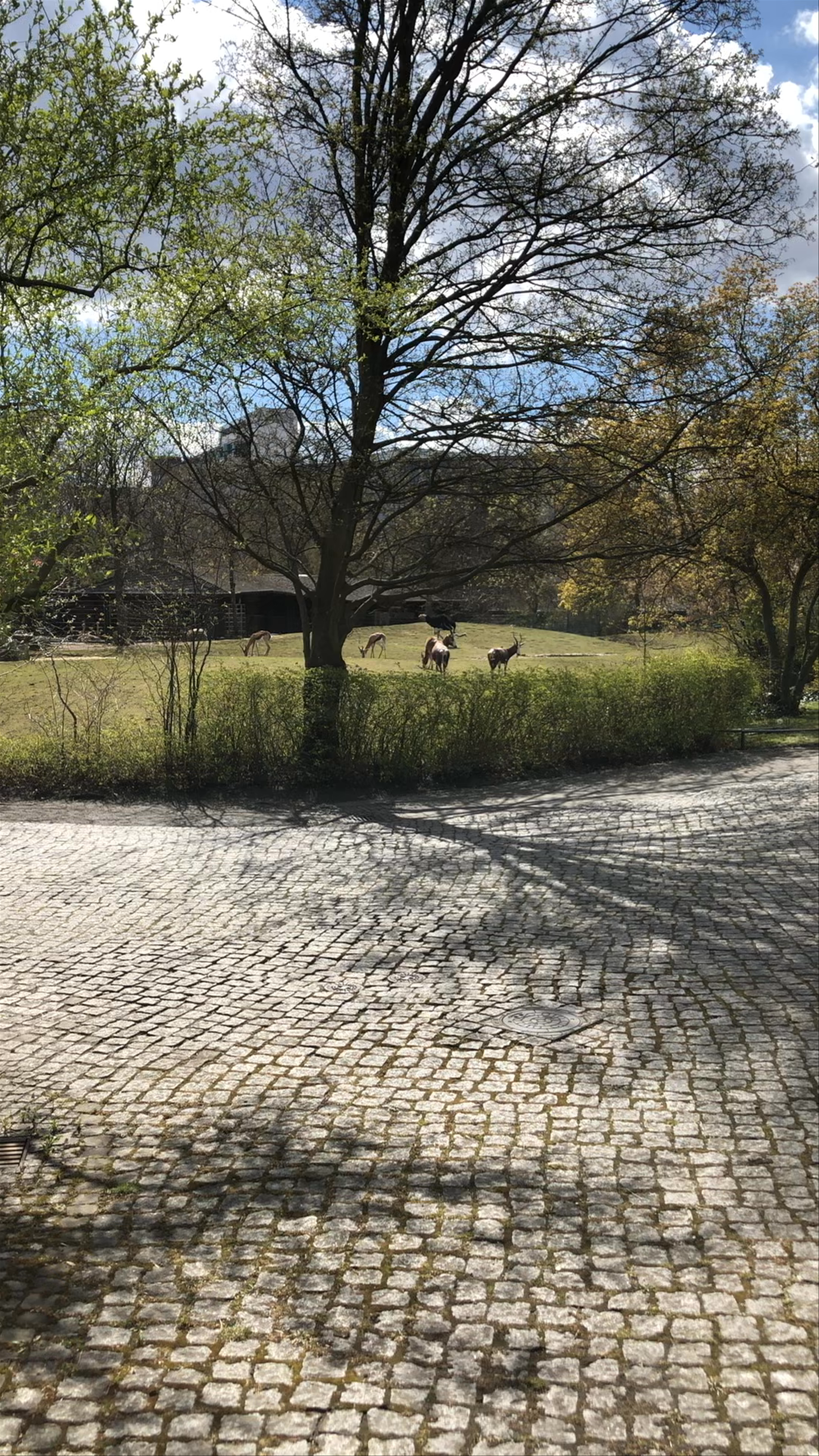 Zoologischer Garten Berlin