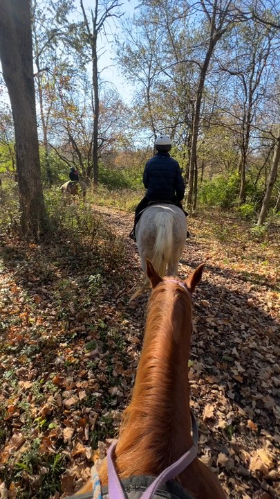 Cedar Creek Ranch - Very gentle and calm horses! - Horseback Riding Near Me - Cedar Point, Illinois