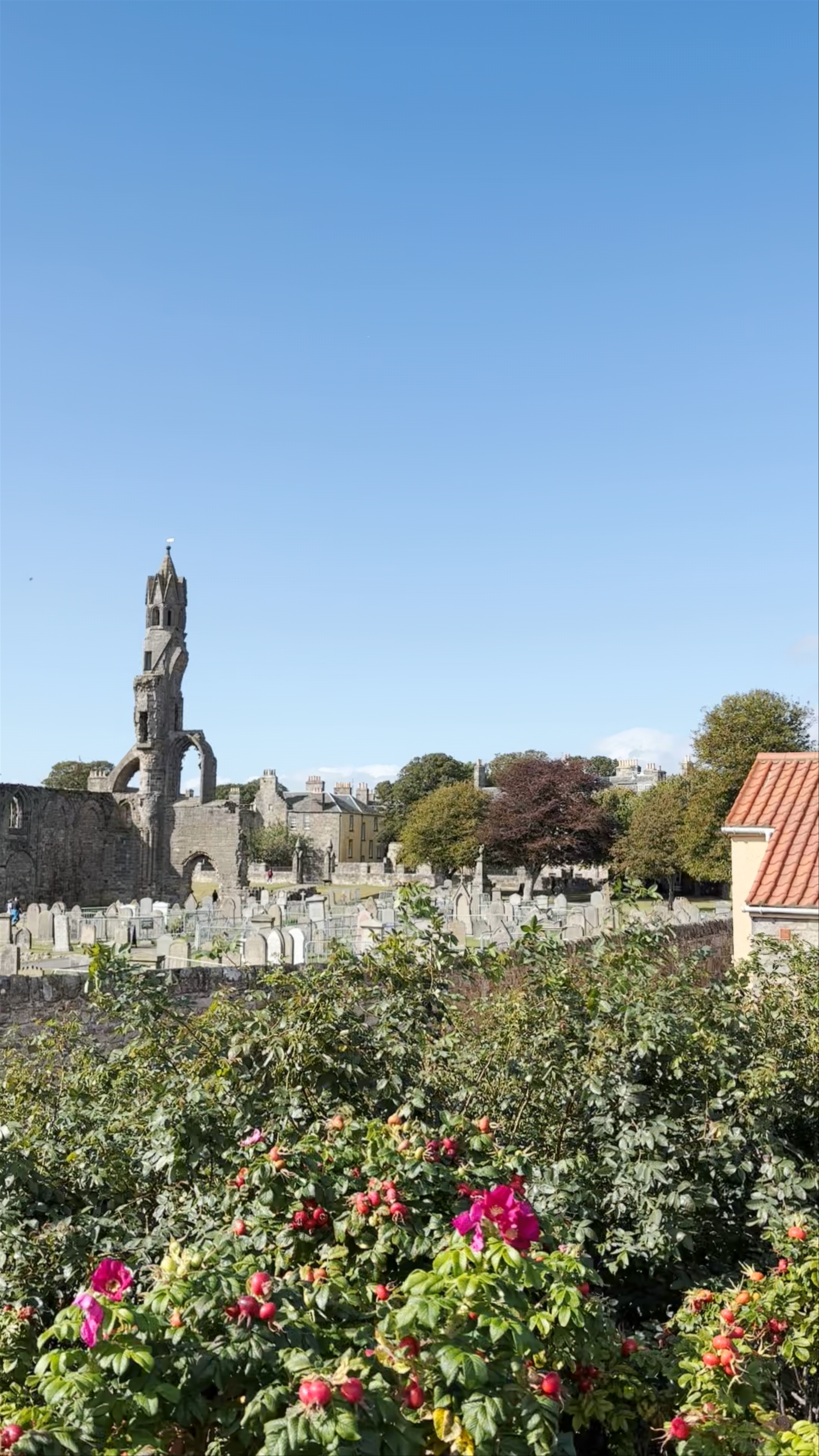 St Andrews Cathedral
