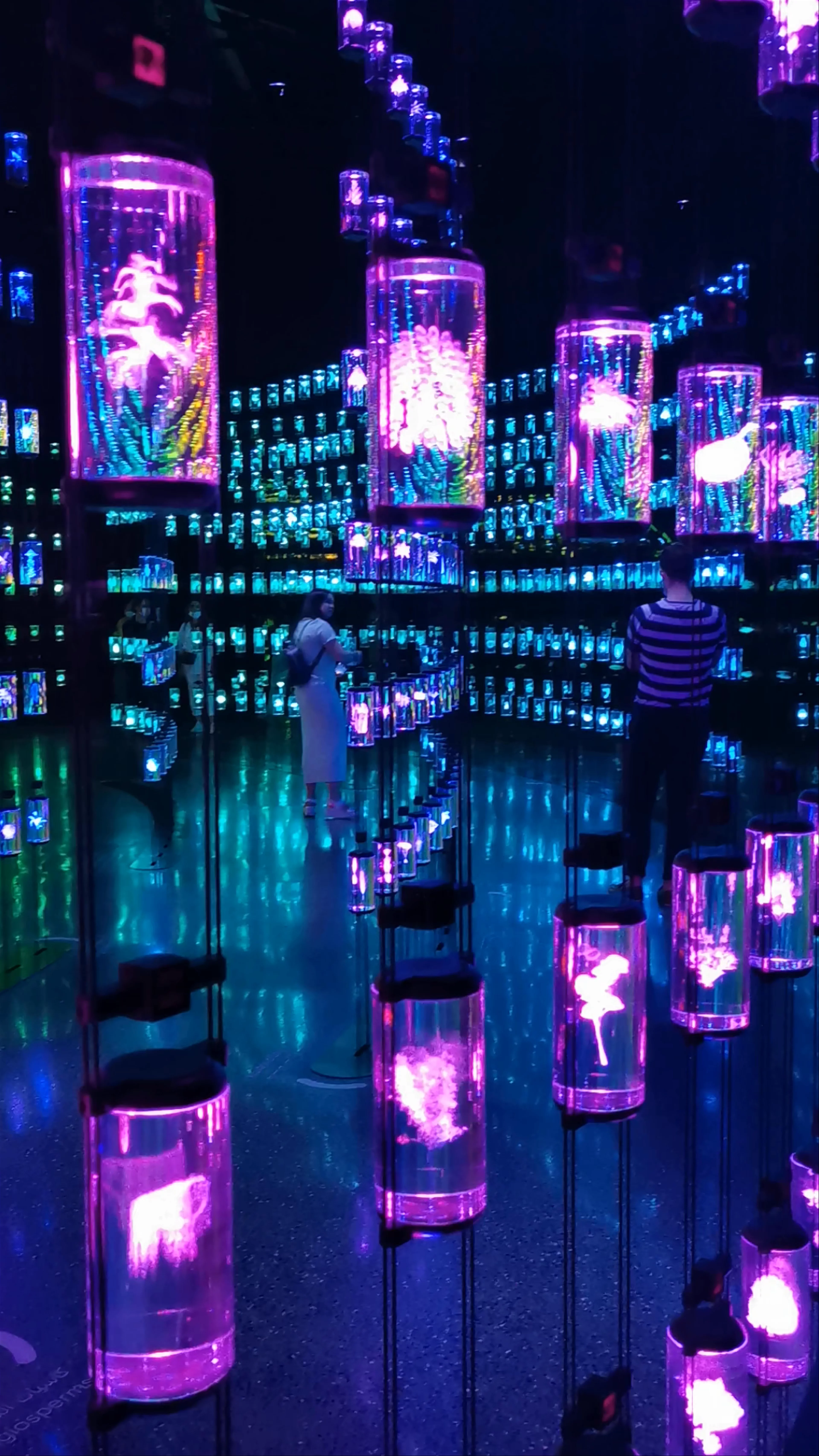 Museum of The Future