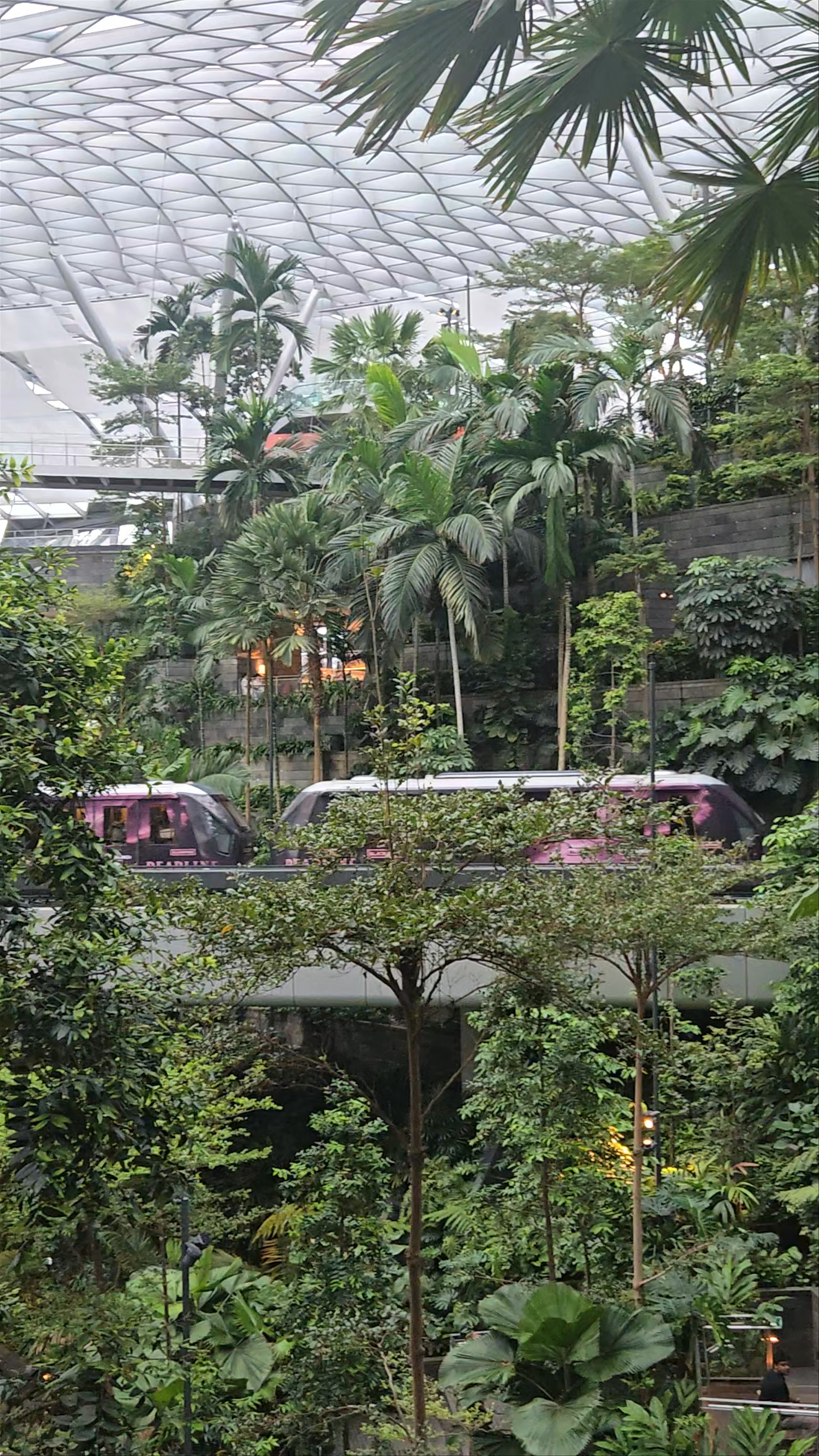 Jewel Changi Airport
