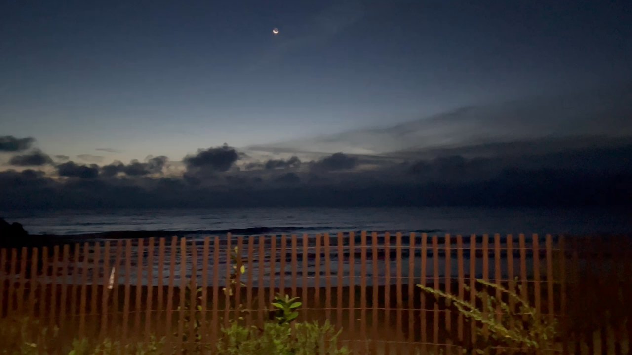 Lee Street Beach - Beaches Near Me - Evanston, Illinois