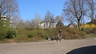 biu set: varial flip