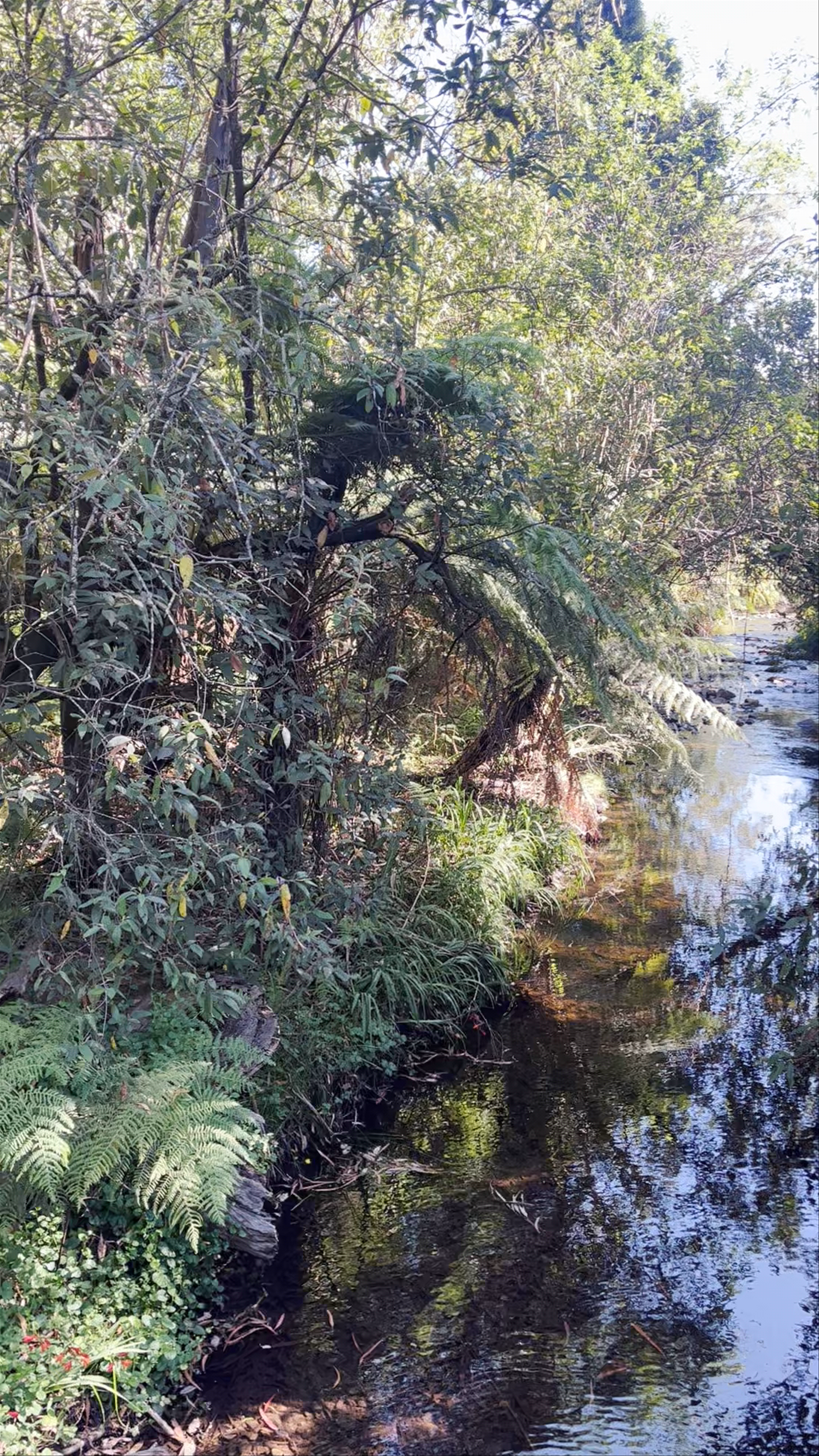 Healesville Sanctuary