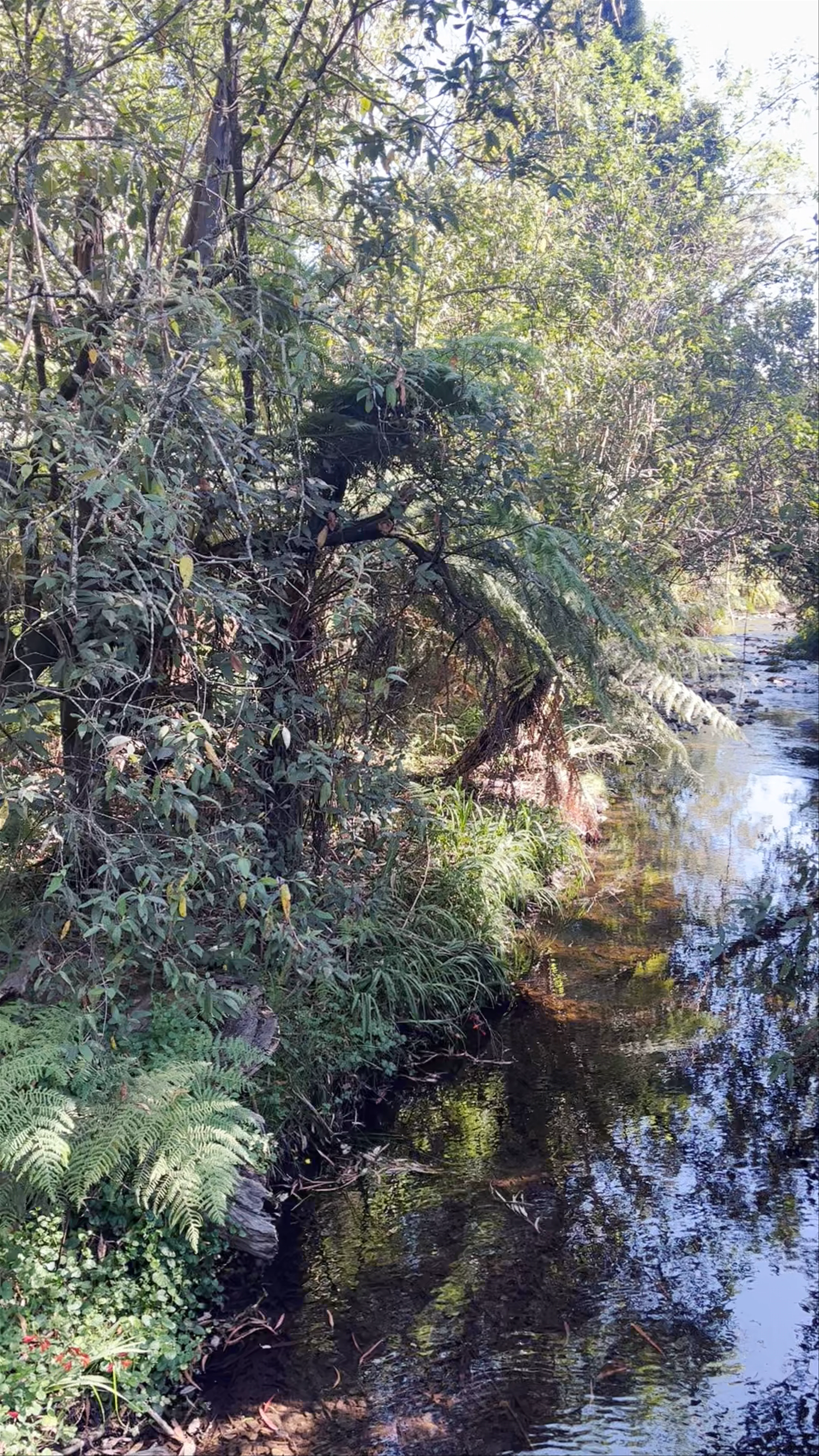 Healesville Sanctuary (Zoos Victoria)