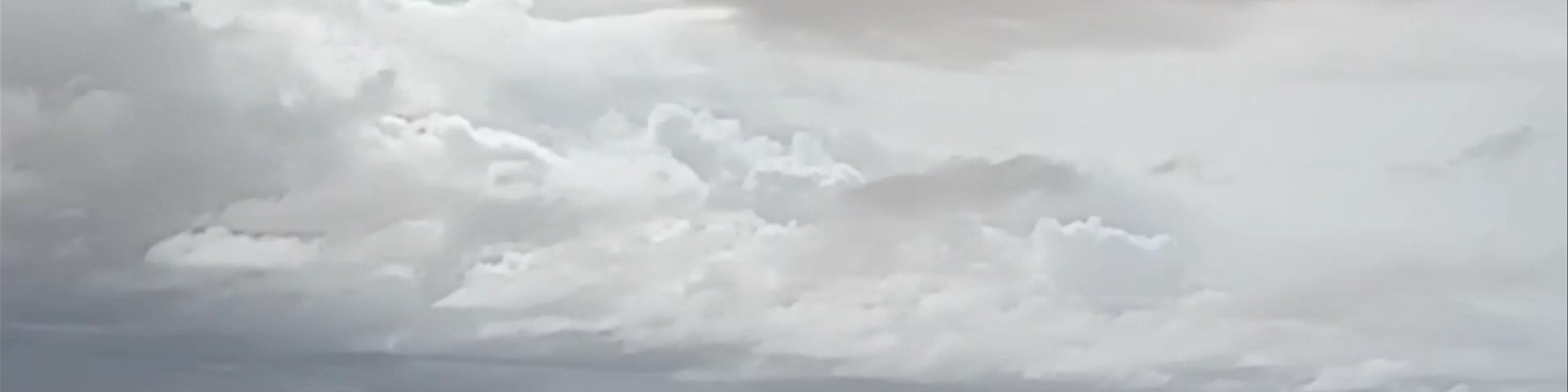 Vagem da agua