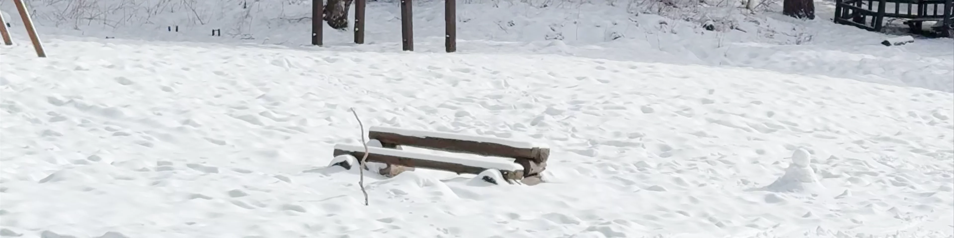 Meadow with swings