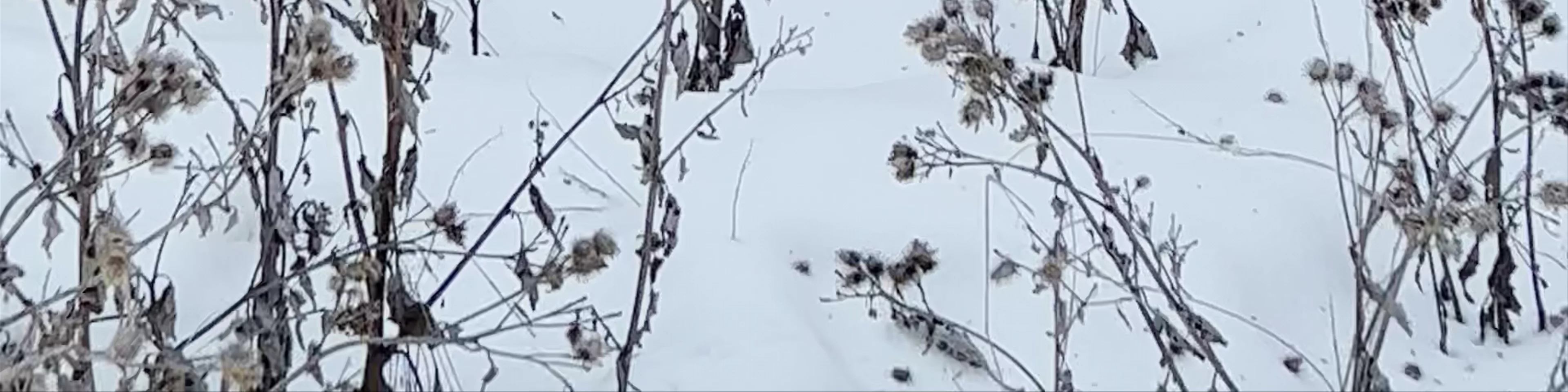 Tsaghkadzor Ski Resort