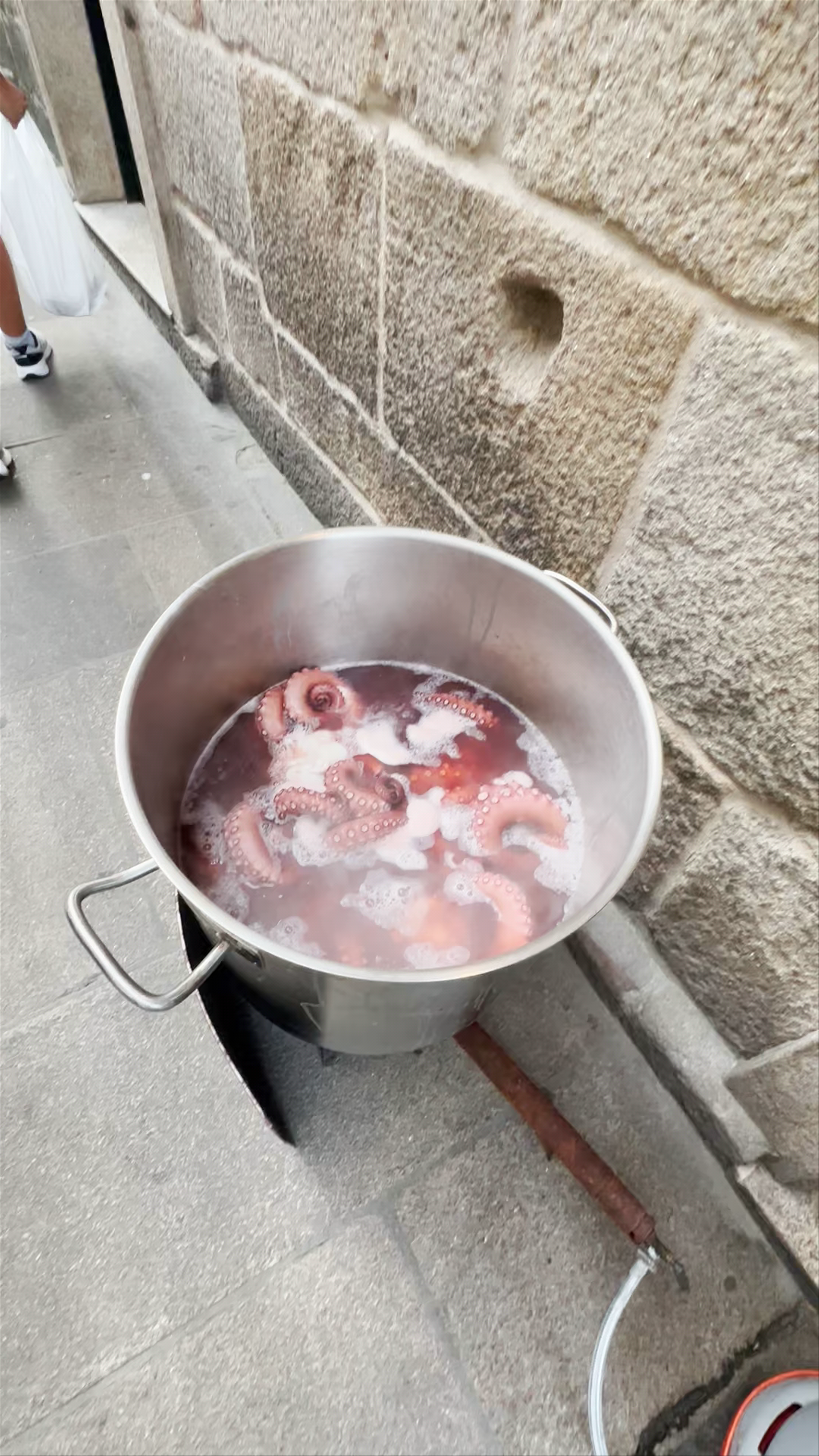 Casa Fidel O'Pulpeiro