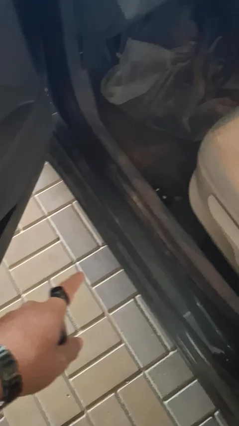 هونداي النترا Fleet 2023