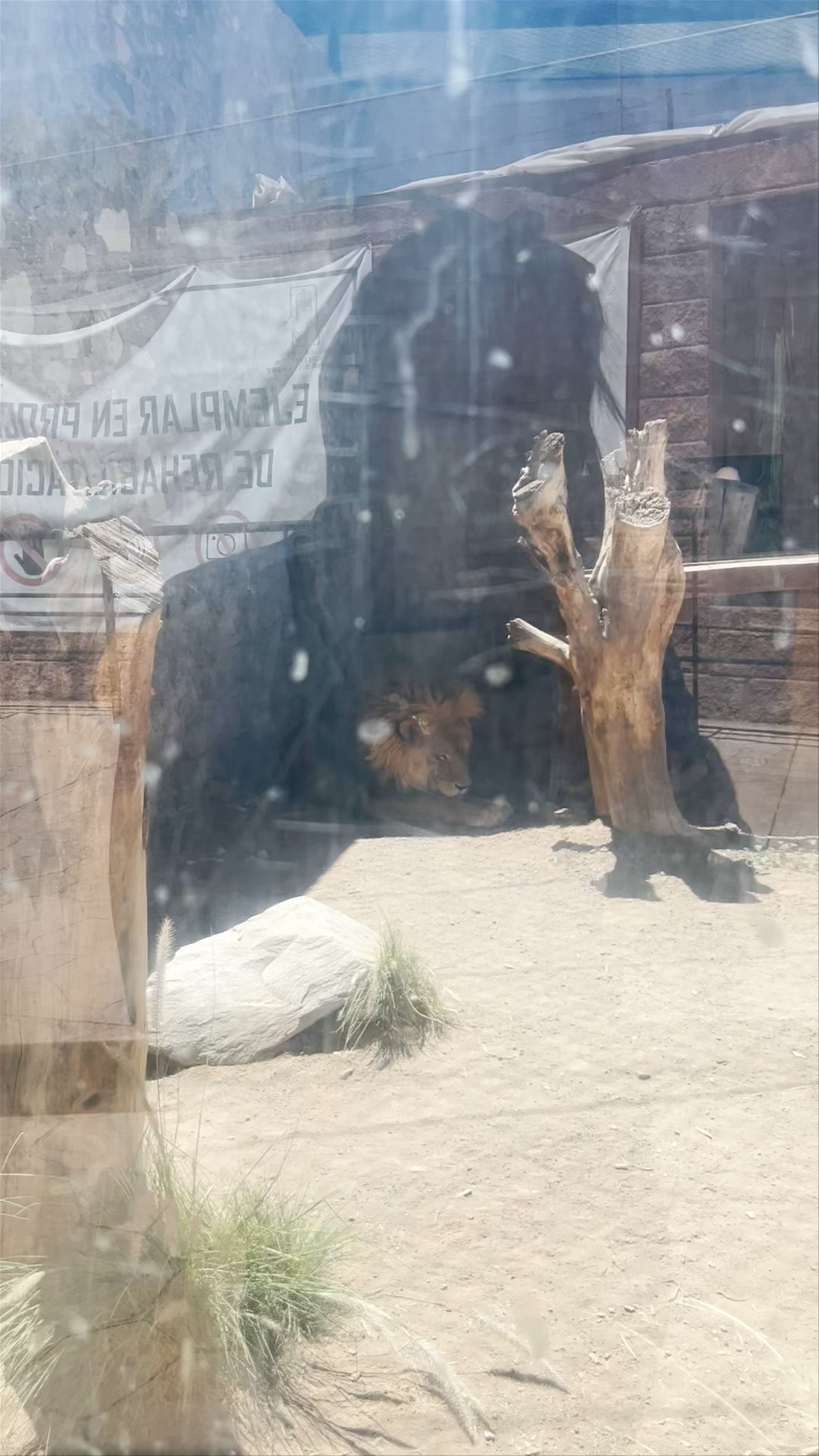 Bioparque Convivencia Pachuca