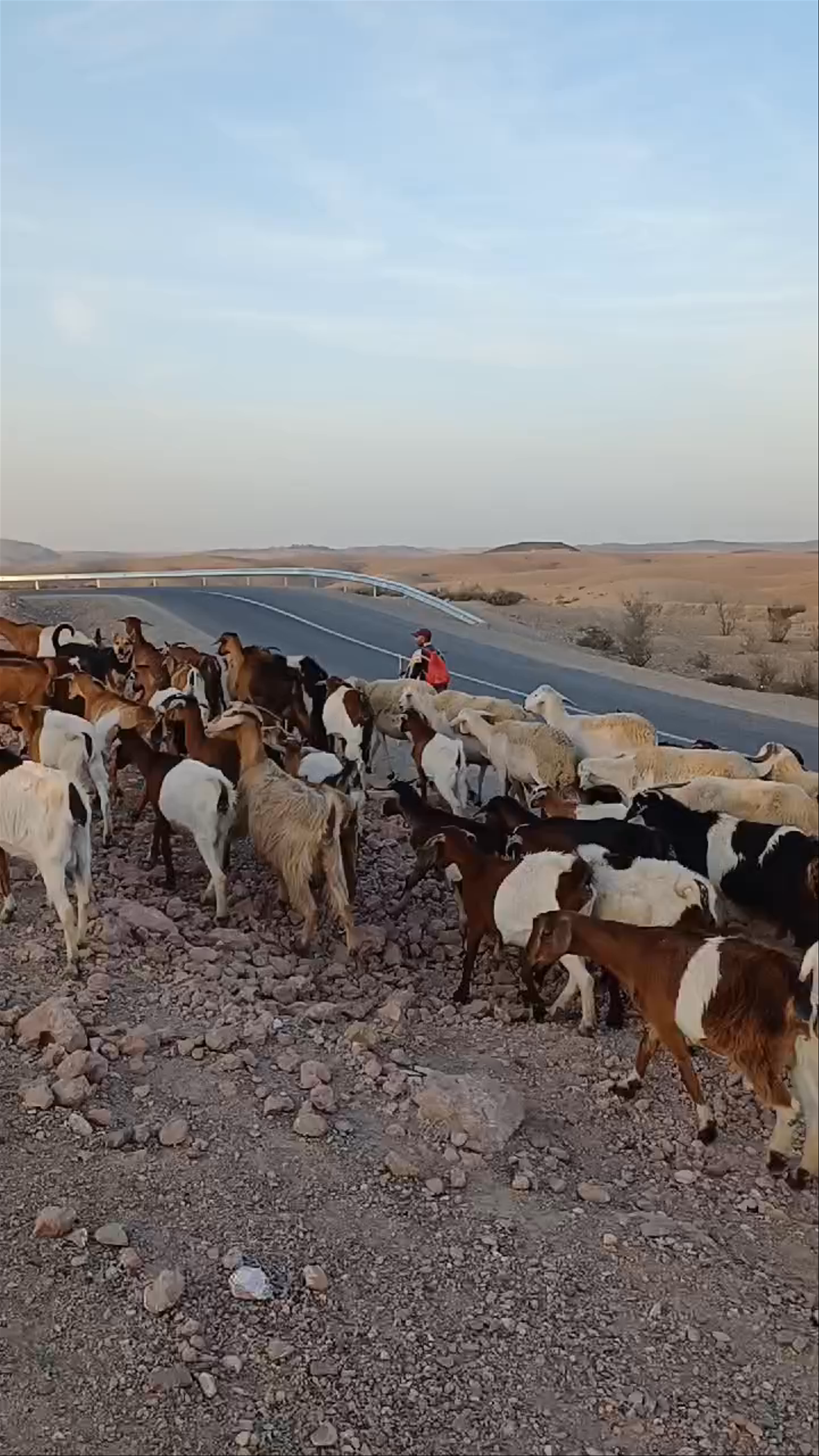 Agafay Desert (Désert d’Agafay)