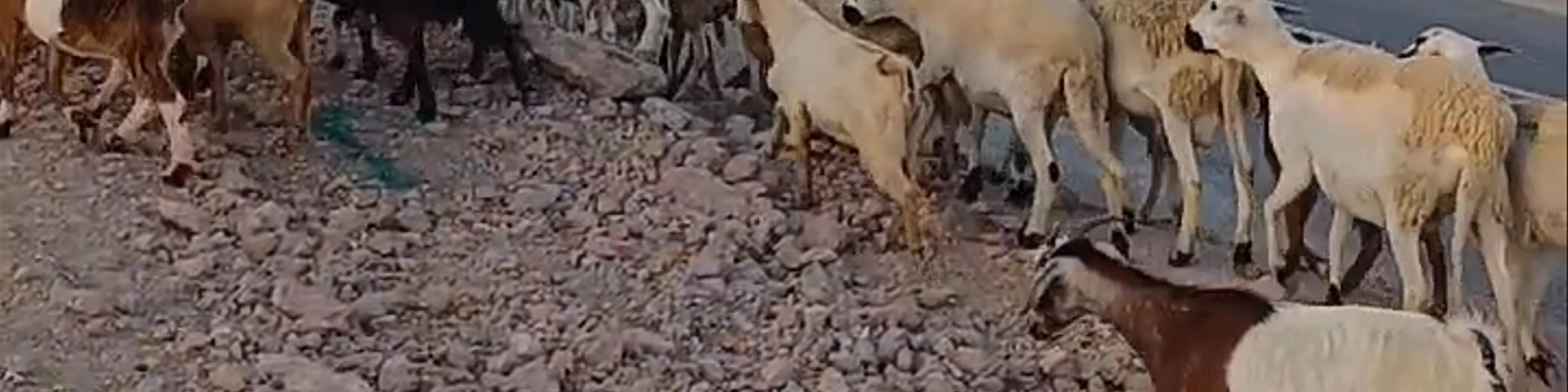 Agafay Desert (Désert d’Agafay)