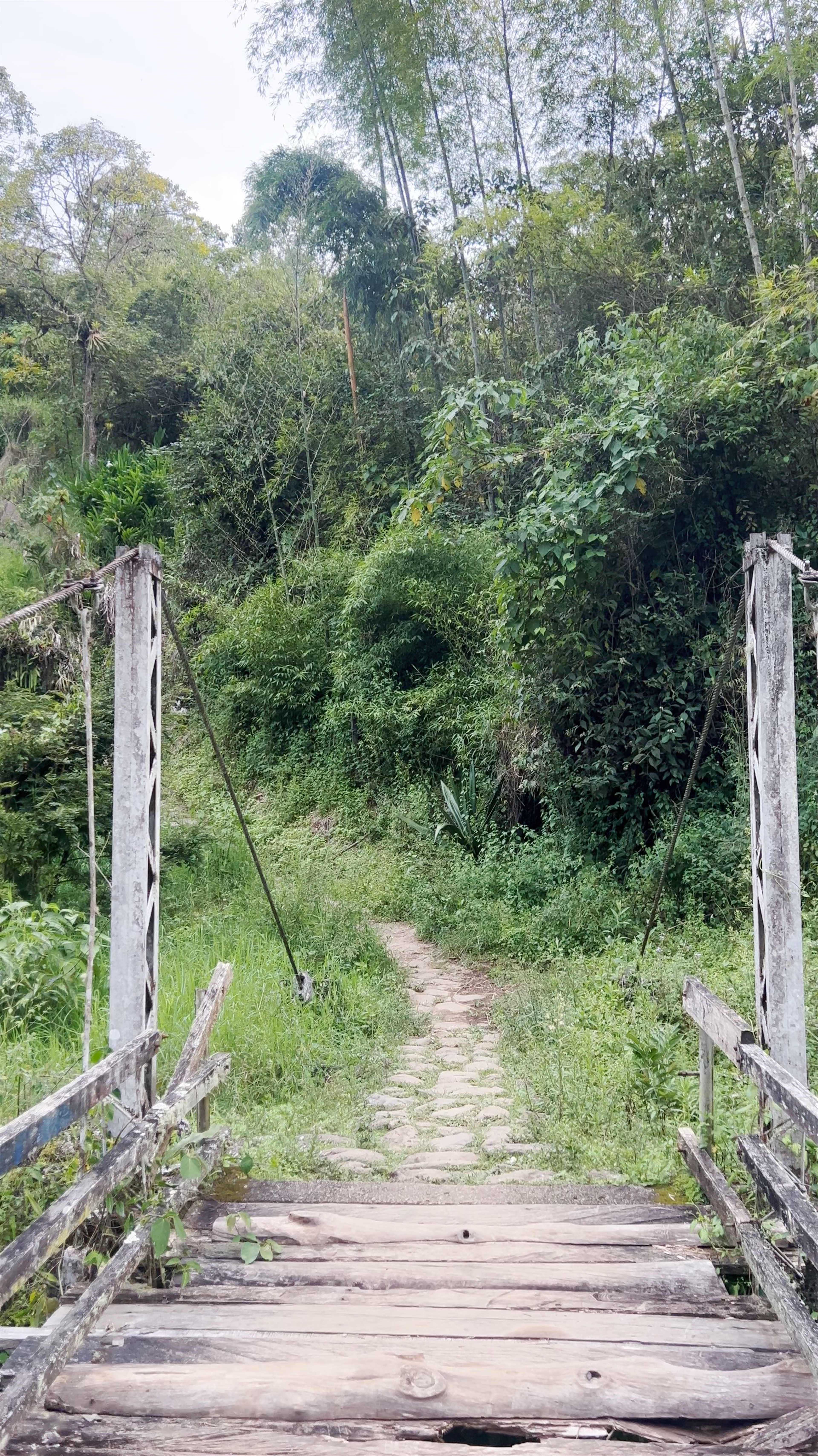 Mirador Cristo Rey Jardín